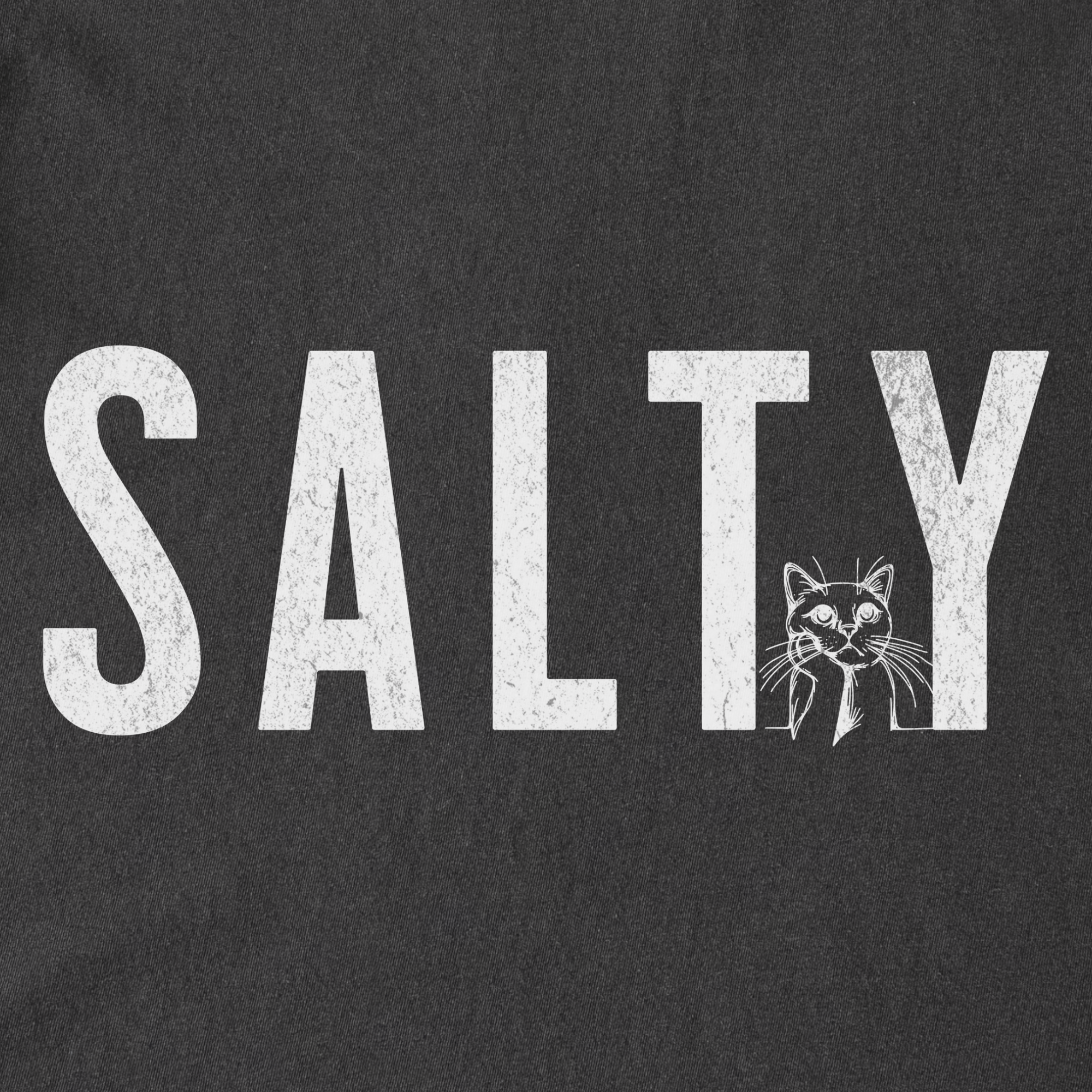 Retro Salty Minimalist Cat Text Comfort Colors T-Shirt in Pepper