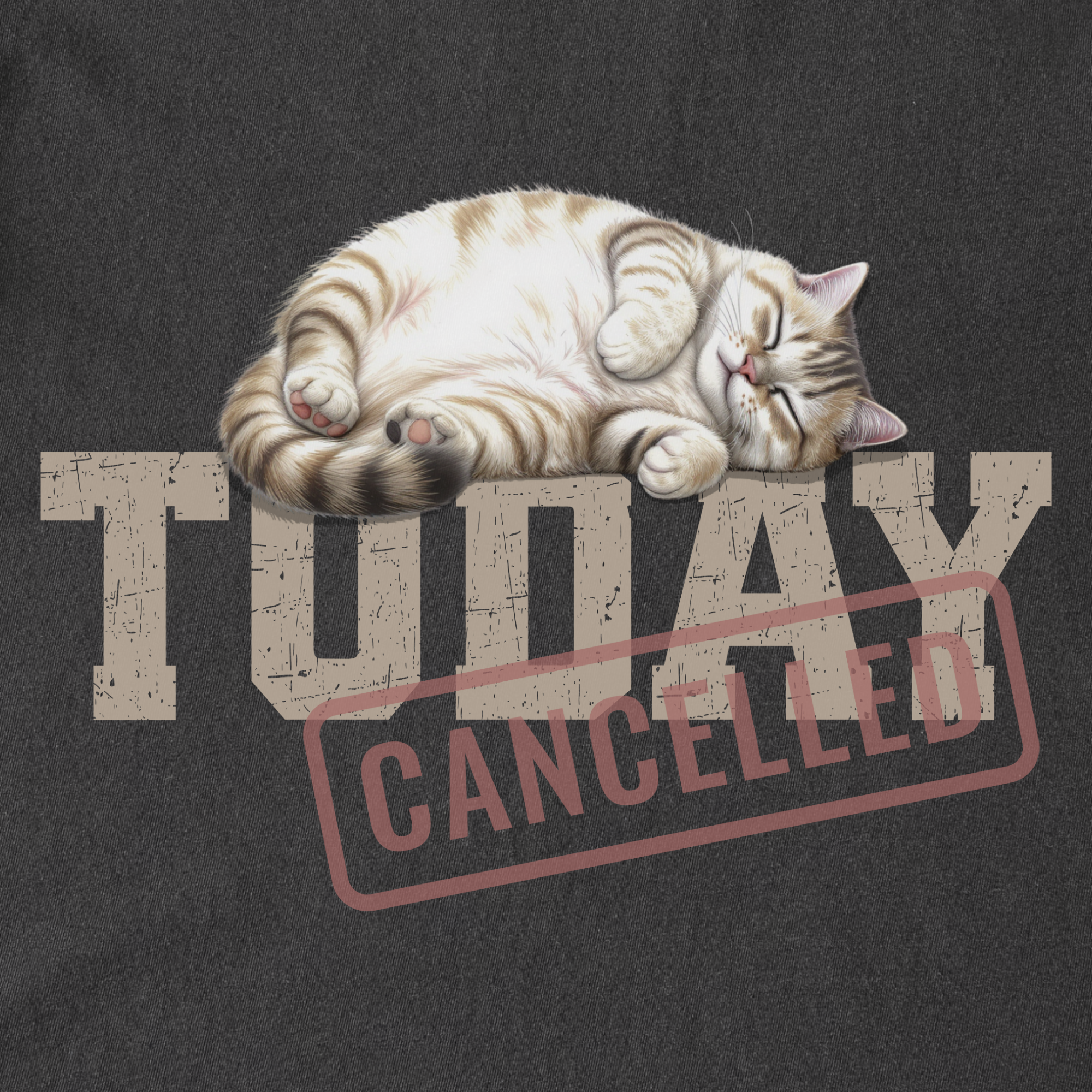 Line Art Today is Cancelled Cat Graphic Comfort Colors T-Shirt in Pepper-T-Shirt-Fetch N Found