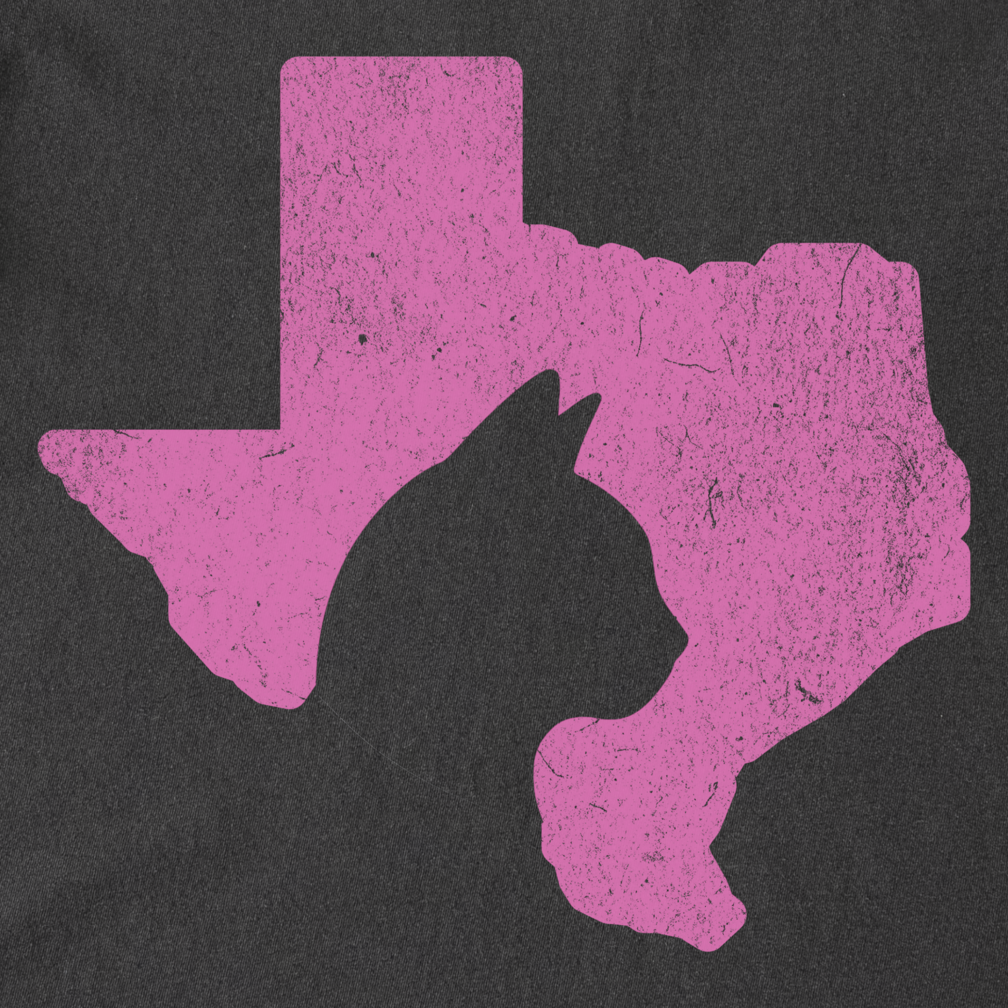 Minimalist Texas State Cat Lover Cat Graphic Comfort Colors T-Shirt in Pepper-T-Shirt-Fetch N Found
