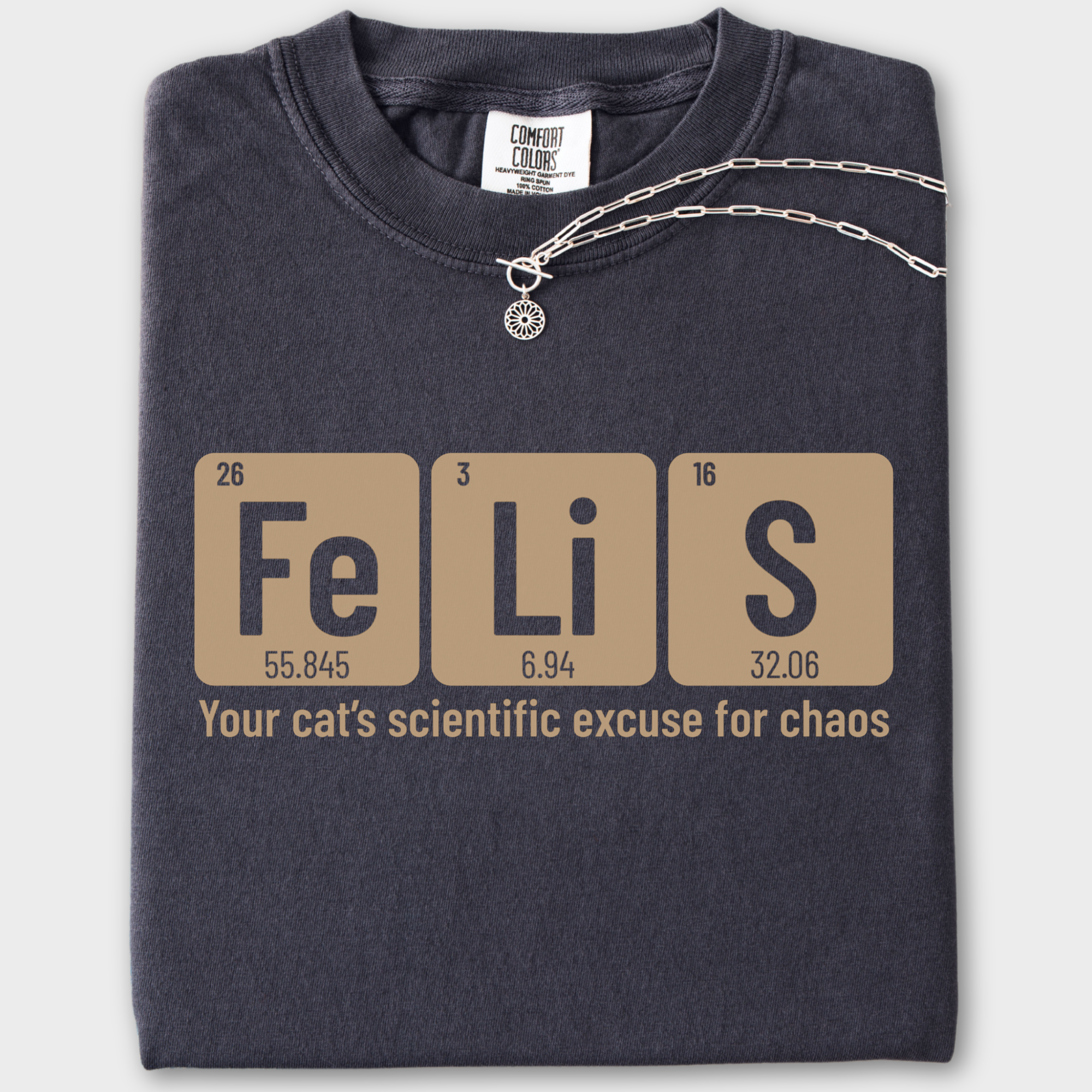 Vintage Felis Cat Graphic Comfort Colors T-Shirt in Graphite-Fetch N Found