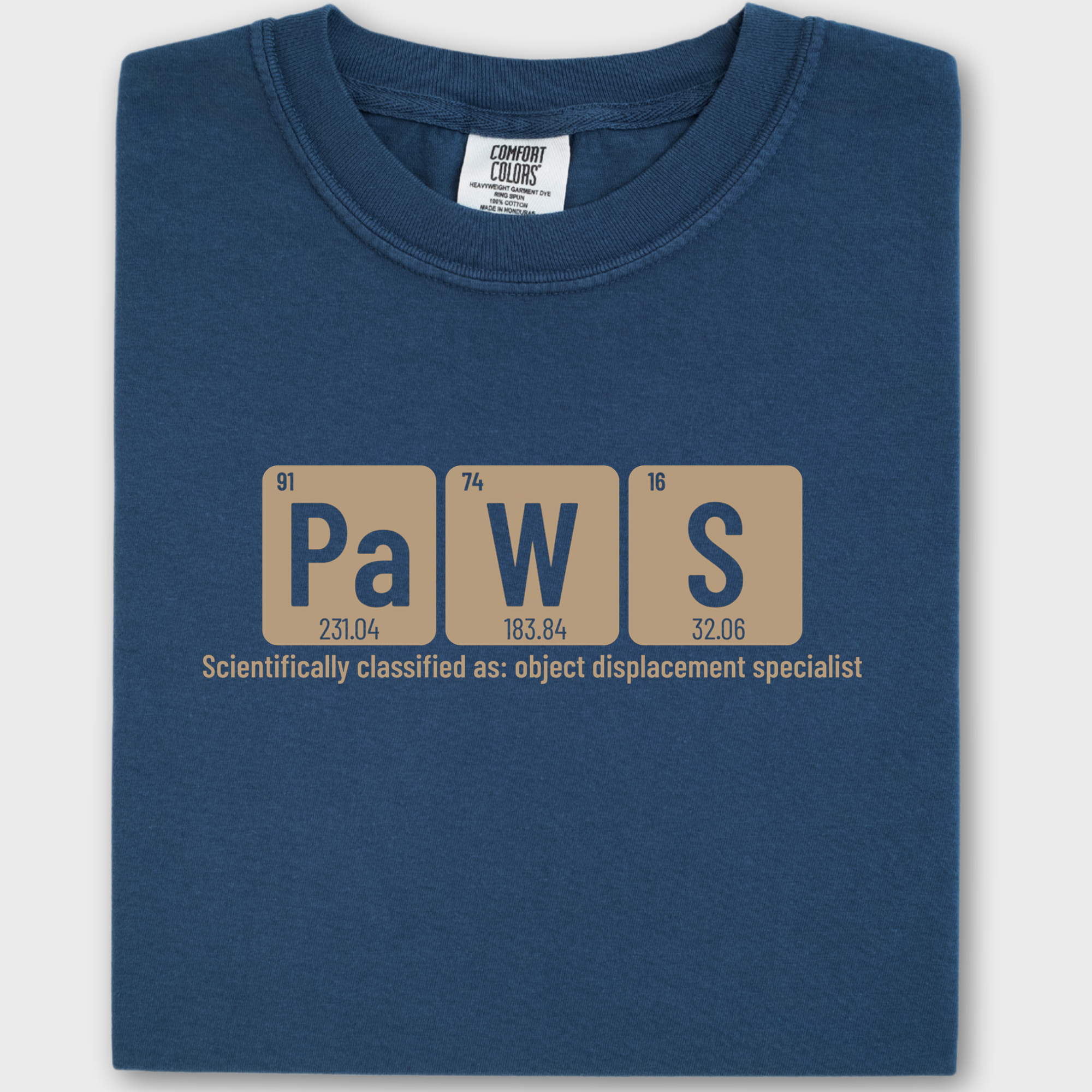 Retro Paws Cat Graphic Comfort Colors T-Shirt in Midnight-Fetch N Found