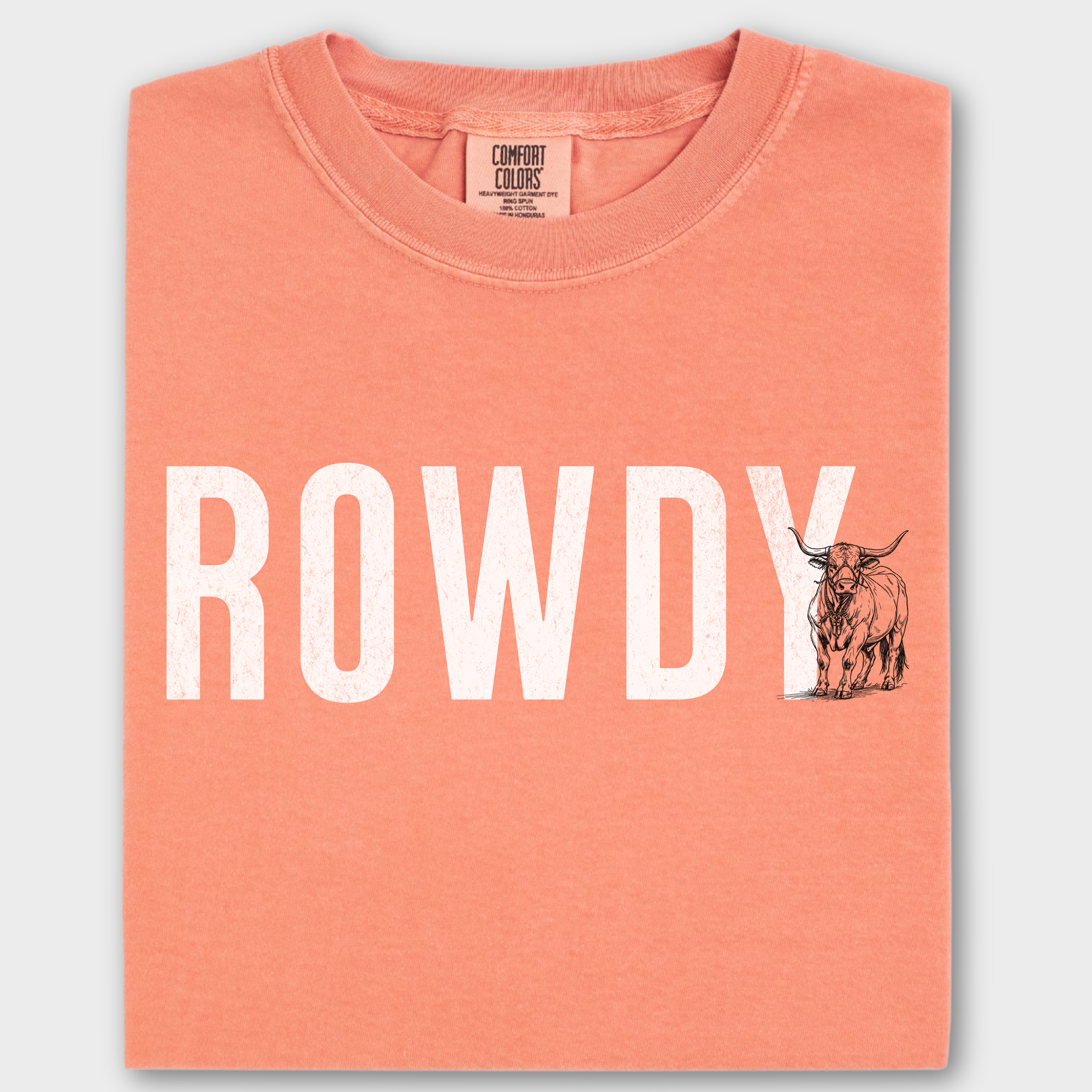Western Rowdy Animal Text Comfort Colors T-Shirt in Terracotta-Fetch N Found