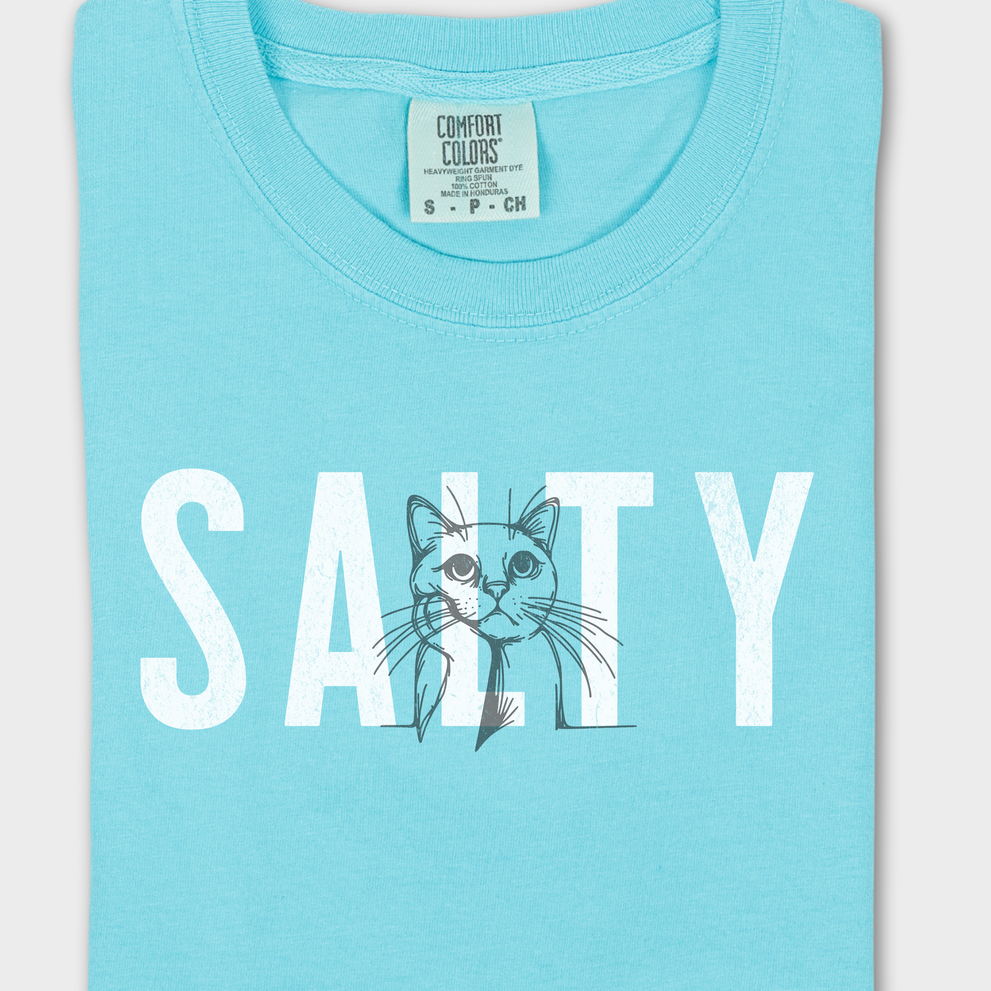 Retro Salty Cat Text Comfort Colors T-Shirt in Lagoon Blue-Fetch N Found
