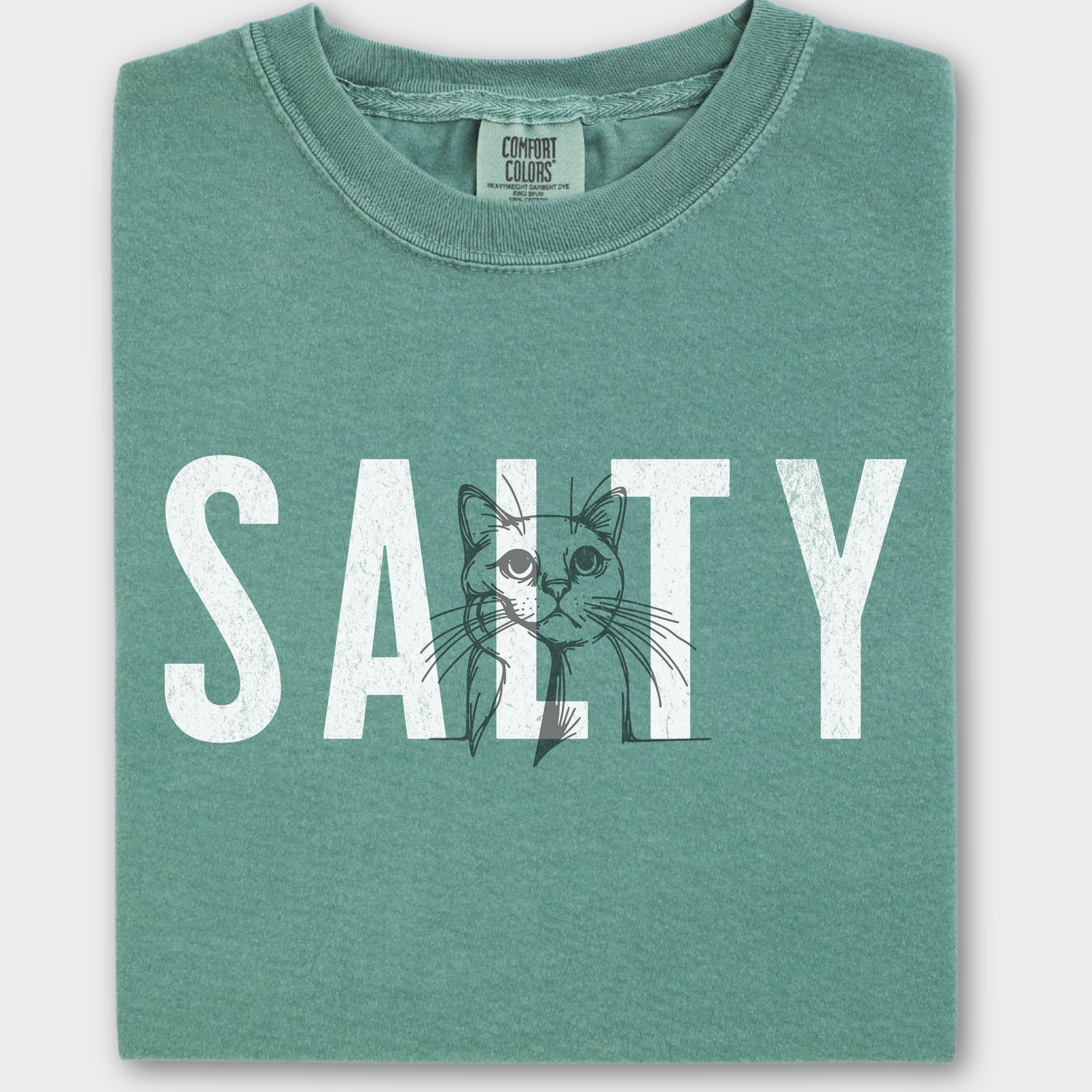 Retro Salty Cat Text Comfort Colors T-Shirt in Light Green-Fetch N Found