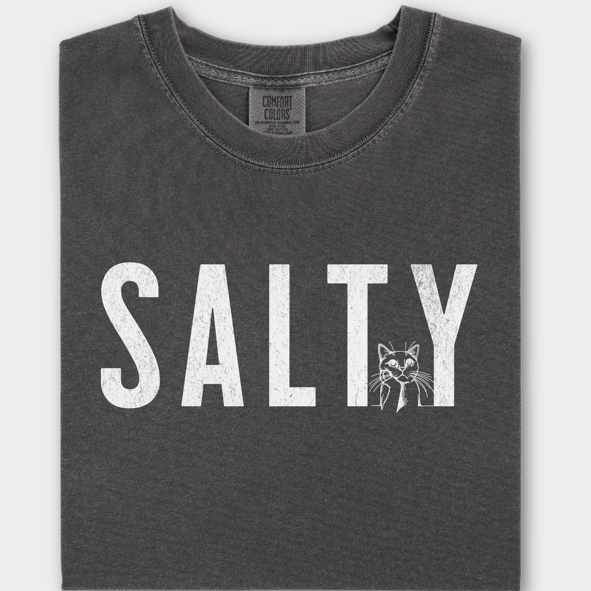 Retro Salty Minimalist Cat Text Comfort Colors T-Shirt in Pepper-Fetch N Found