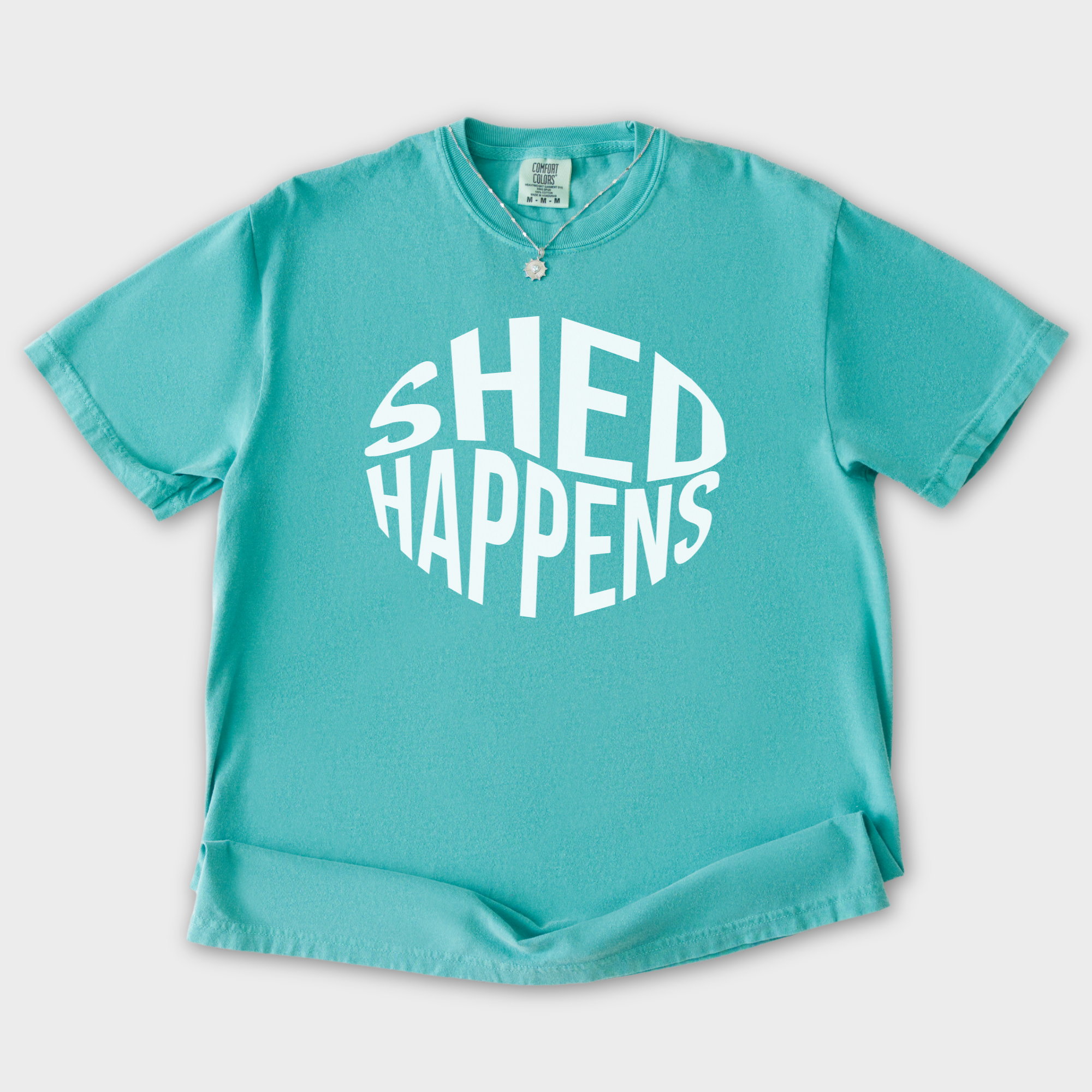 Retro SHED Happens Sarcastic Pet Minimalist T-Shirt in Seafoam