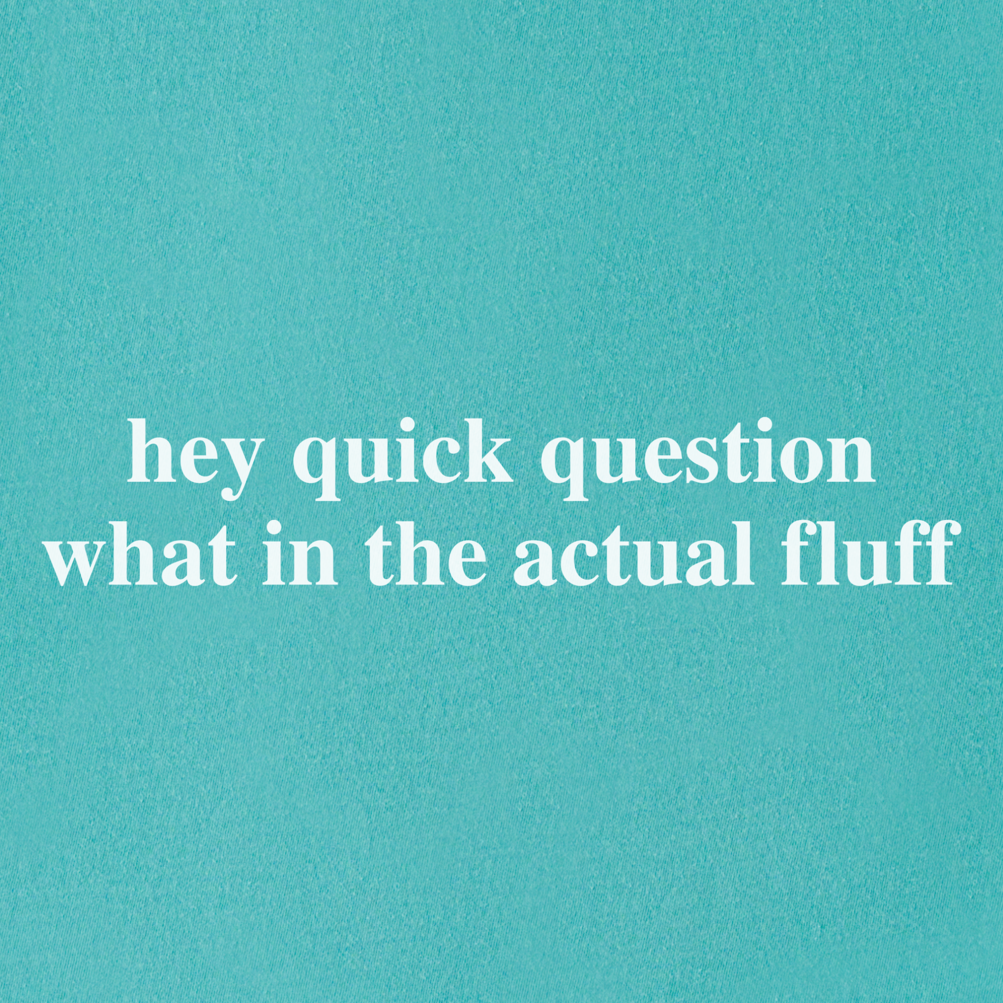 Modern Hey quick question FLUFF Pet Text Comfort Colors T-Shirt in Seafoam
