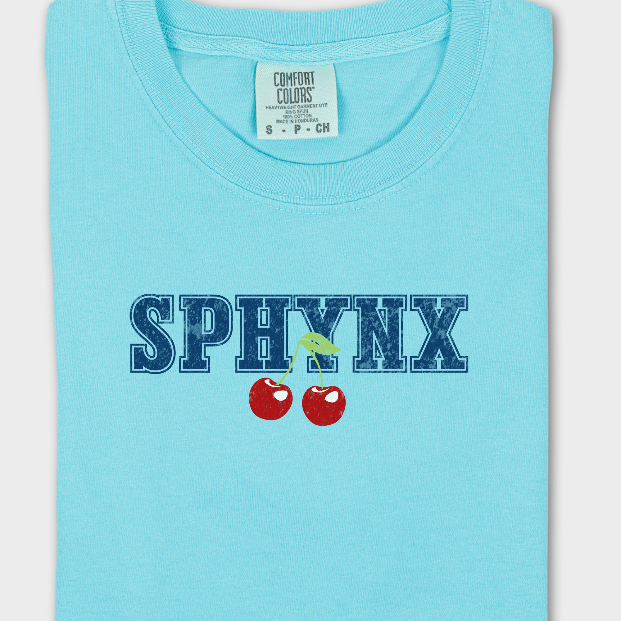 Western Sphynx Cherry Cat Cherry Comfort Colors T-Shirt in Lagoon Blue-Fetch N Found