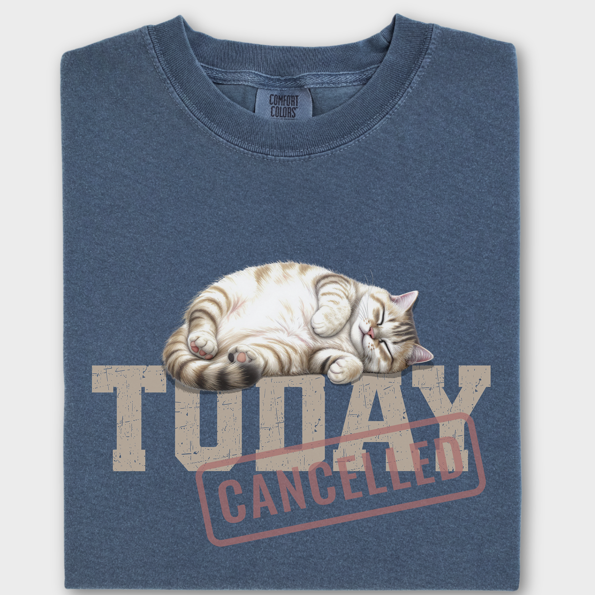 Line Art Today is Cancelled Cat Graphic Comfort Colors T-Shirt in Denim-T-Shirt-Denim-Fetch N Found
