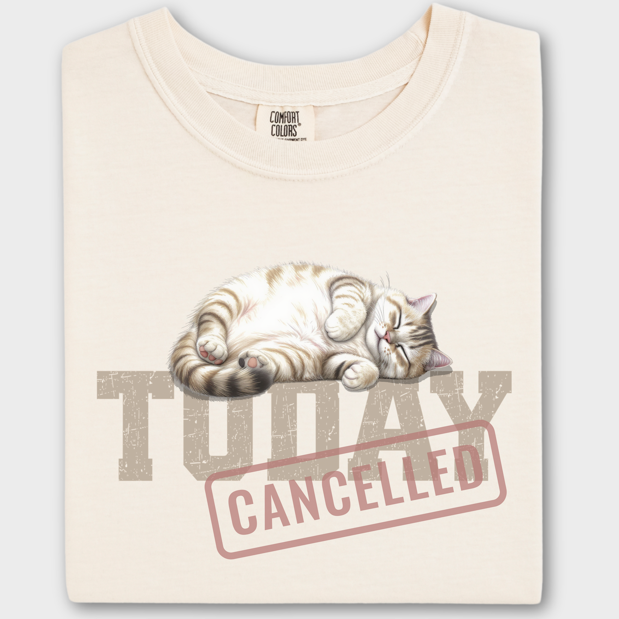 Line Art Today is Cancelled Cat Graphic Comfort Colors T-Shirt in Ivory-T-Shirt-Ivory-Fetch N Found