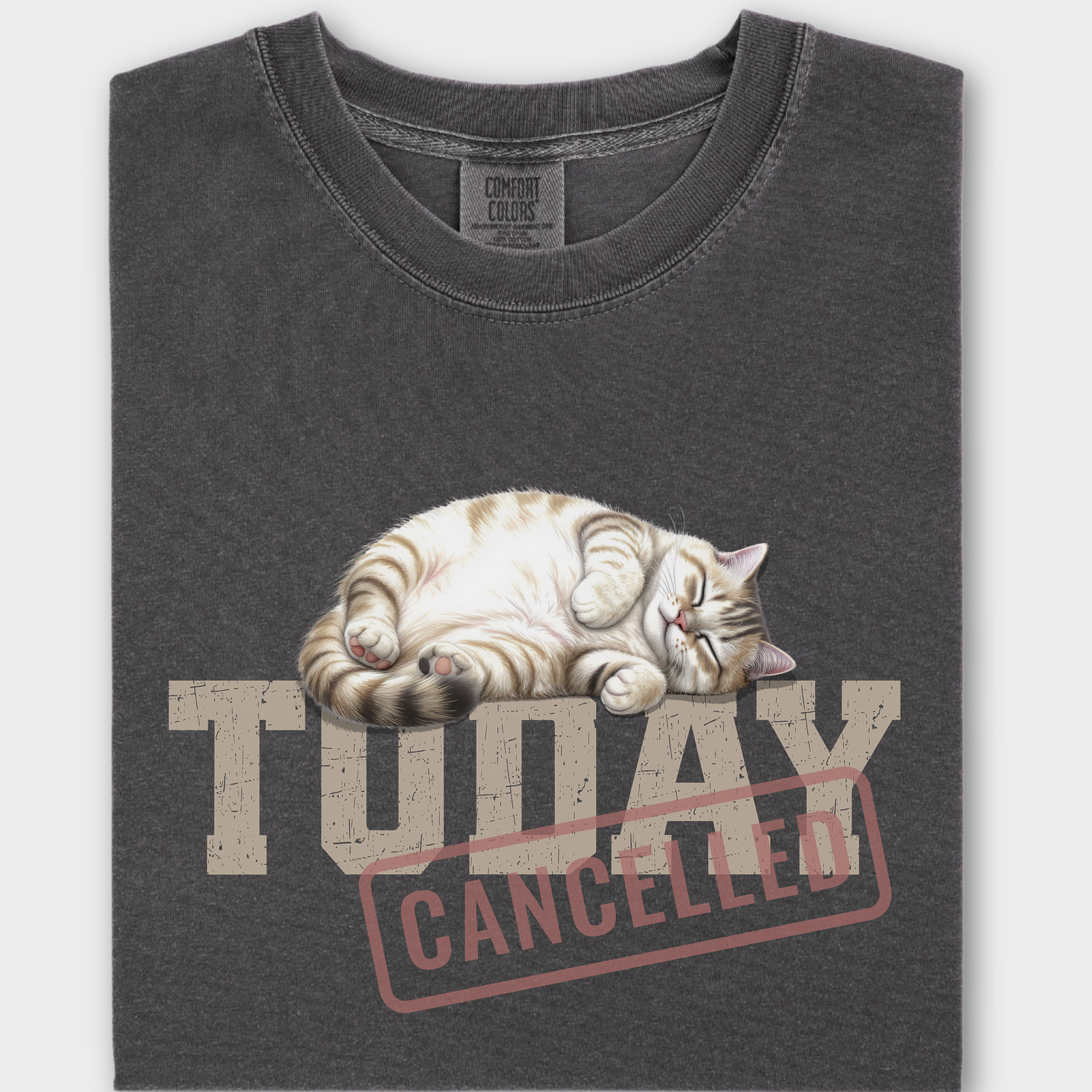 Line Art Today is Cancelled Cat Graphic Comfort Colors T-Shirt in Pepper-T-Shirt-Pepper-Fetch N Found