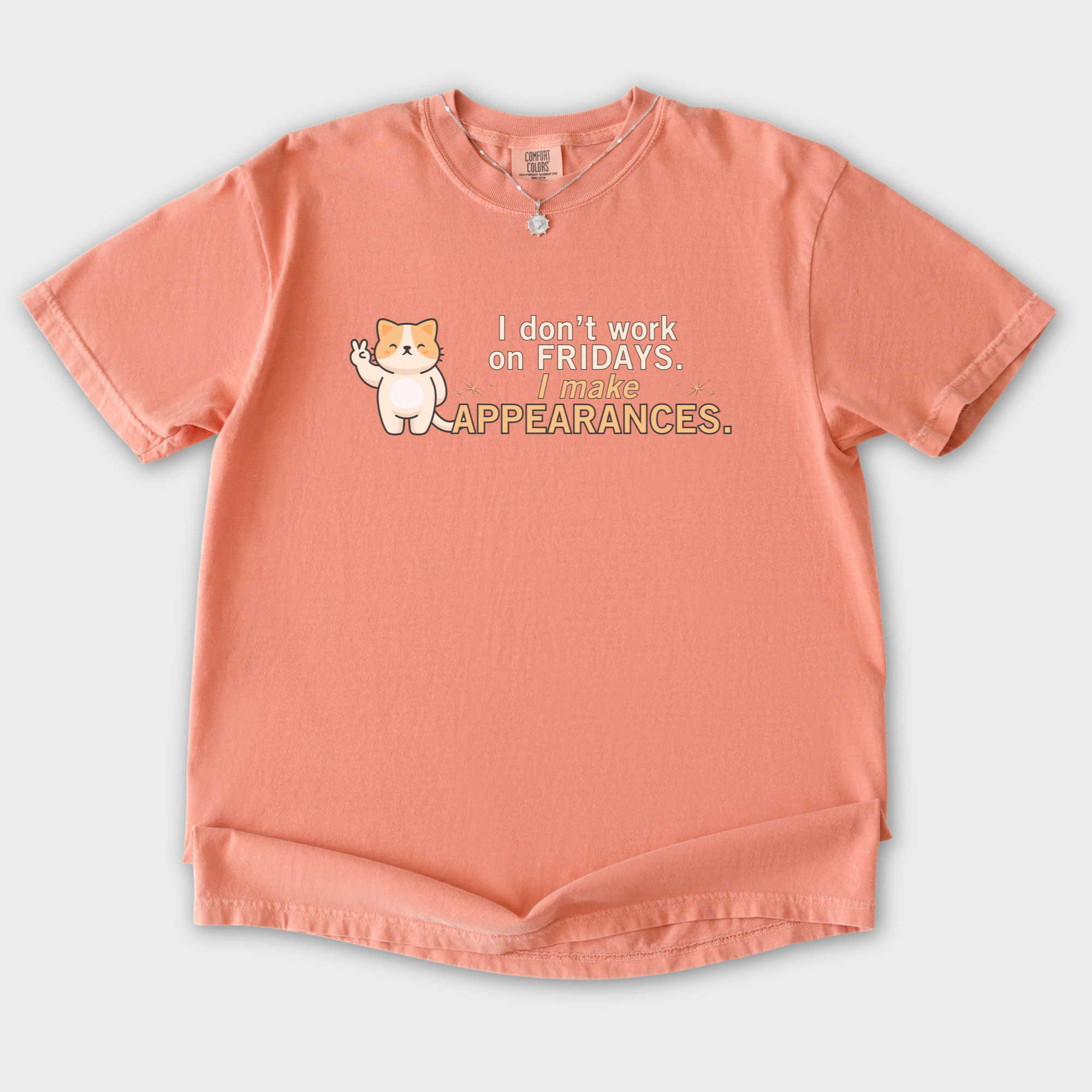 Retro I Don't Work on Fridays Cat Graphic Comfort Colors T-Shirt in Terracotta
