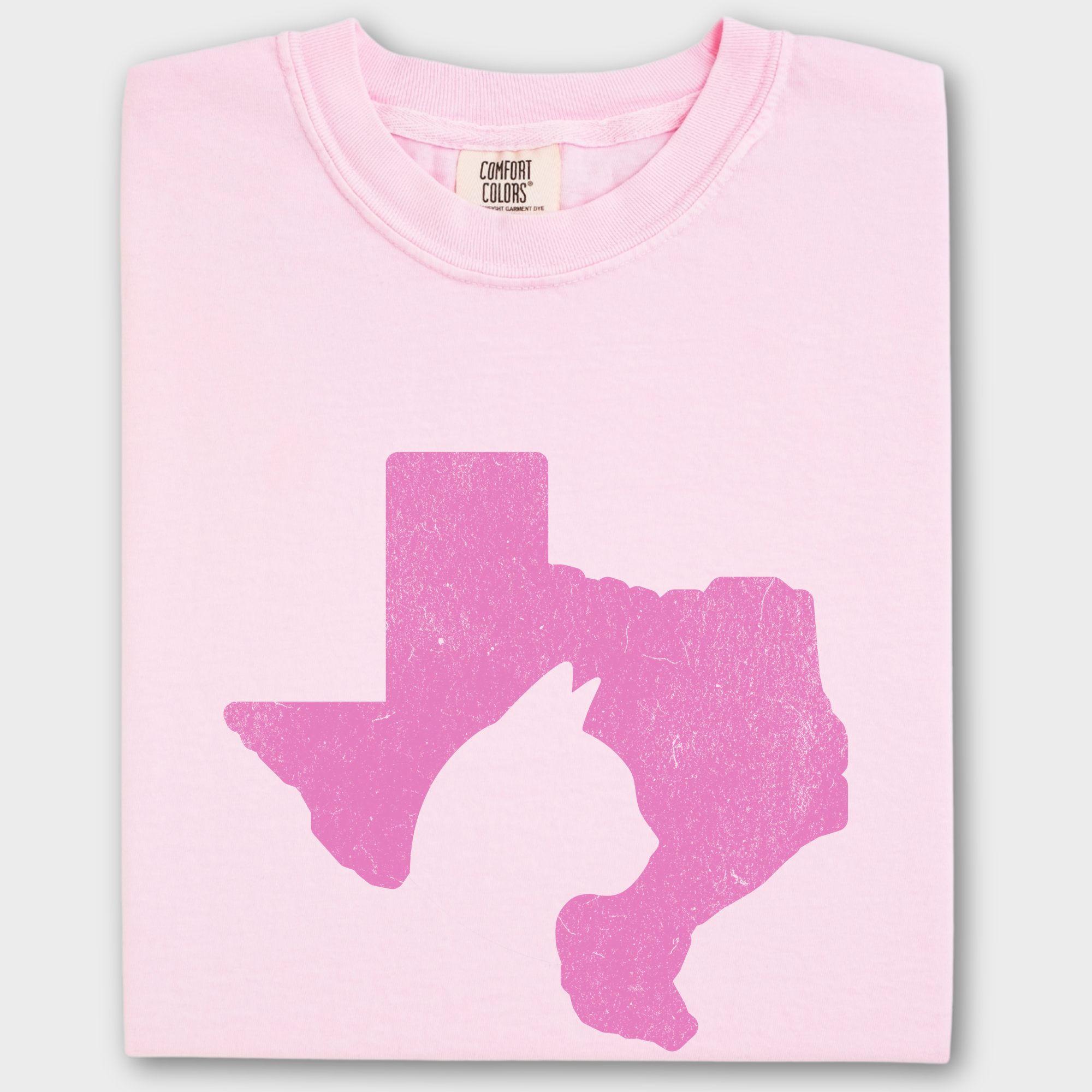 Minimalist Texas State Cat Lover Cat Graphic Comfort Colors T-Shirt in Blossom-T-Shirt-Blossom-Fetch N Found