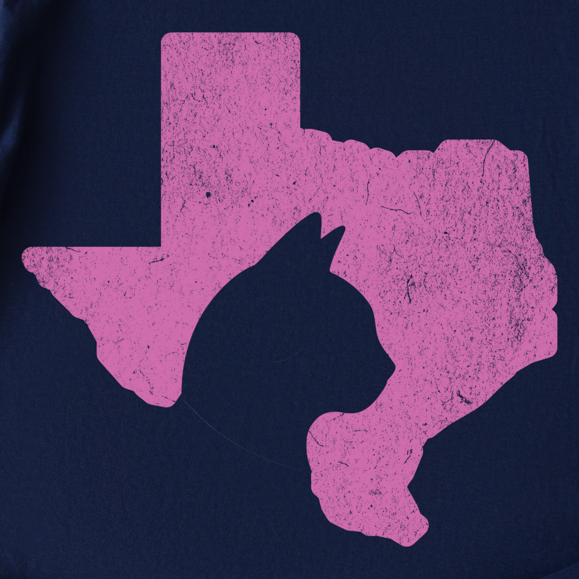 Minimalist Texas State Cat Lover Cat Graphic Comfort Colors T-Shirt in True Navy-T-Shirt-Fetch N Found