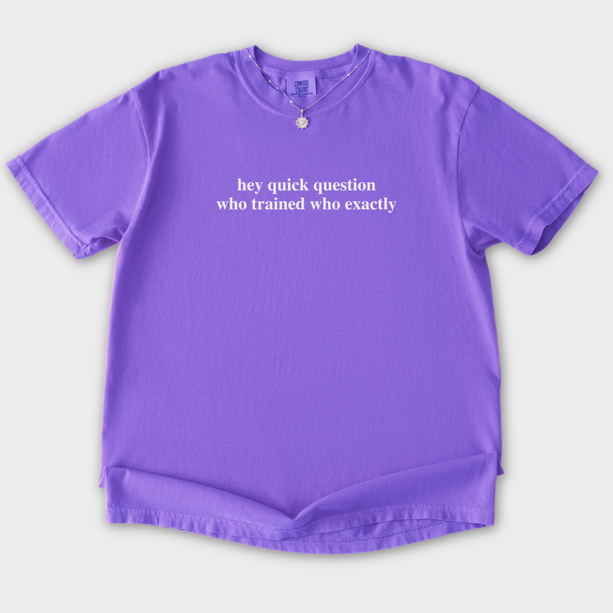 Modern Hey quick question TRAINING Pet Text Comfort Colors T-Shirt in Violet