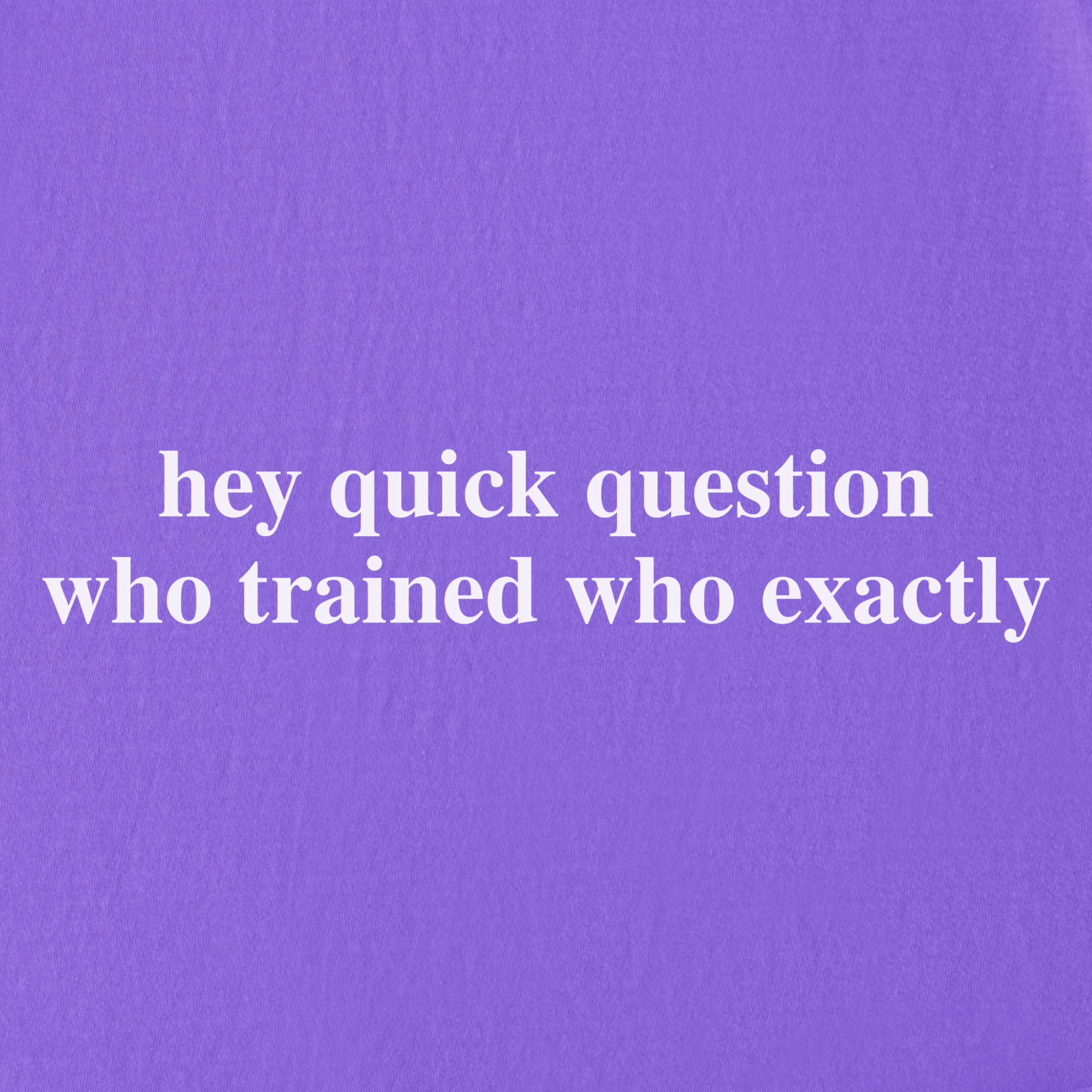 Modern Hey quick question TRAINING Pet Text Comfort Colors T-Shirt in Violet