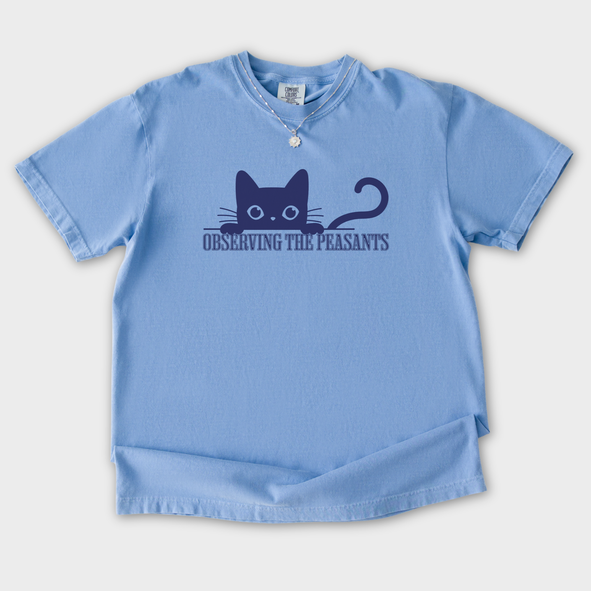Minimalist Observing the Peasants Cat Graphic Comfort Colors T-Shirt in Washed Denim-T-Shirt-Washed Denim-S-Fetch N Found