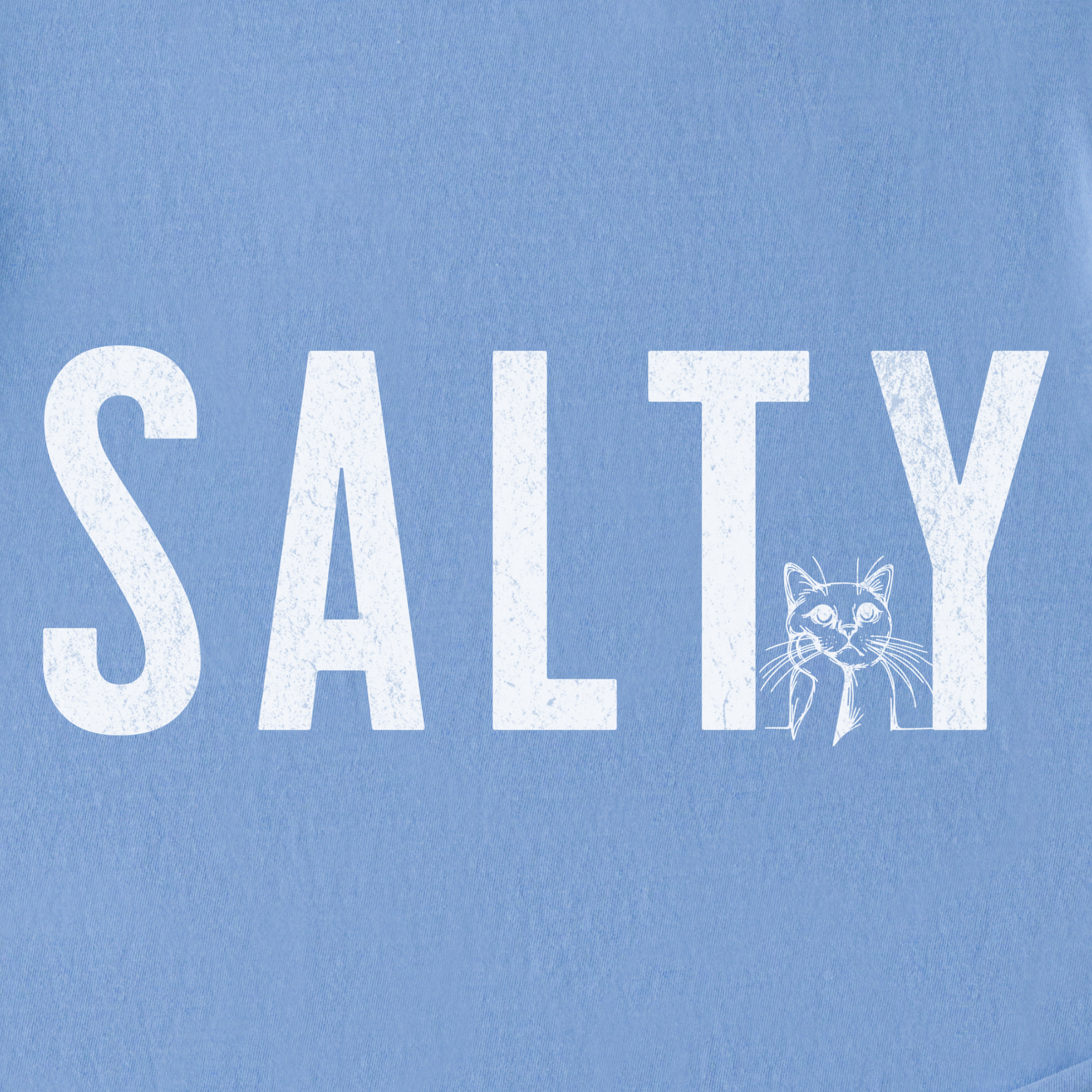 Retro Salty Minimalist Cat Text Comfort Colors T-Shirt in Washed Denim