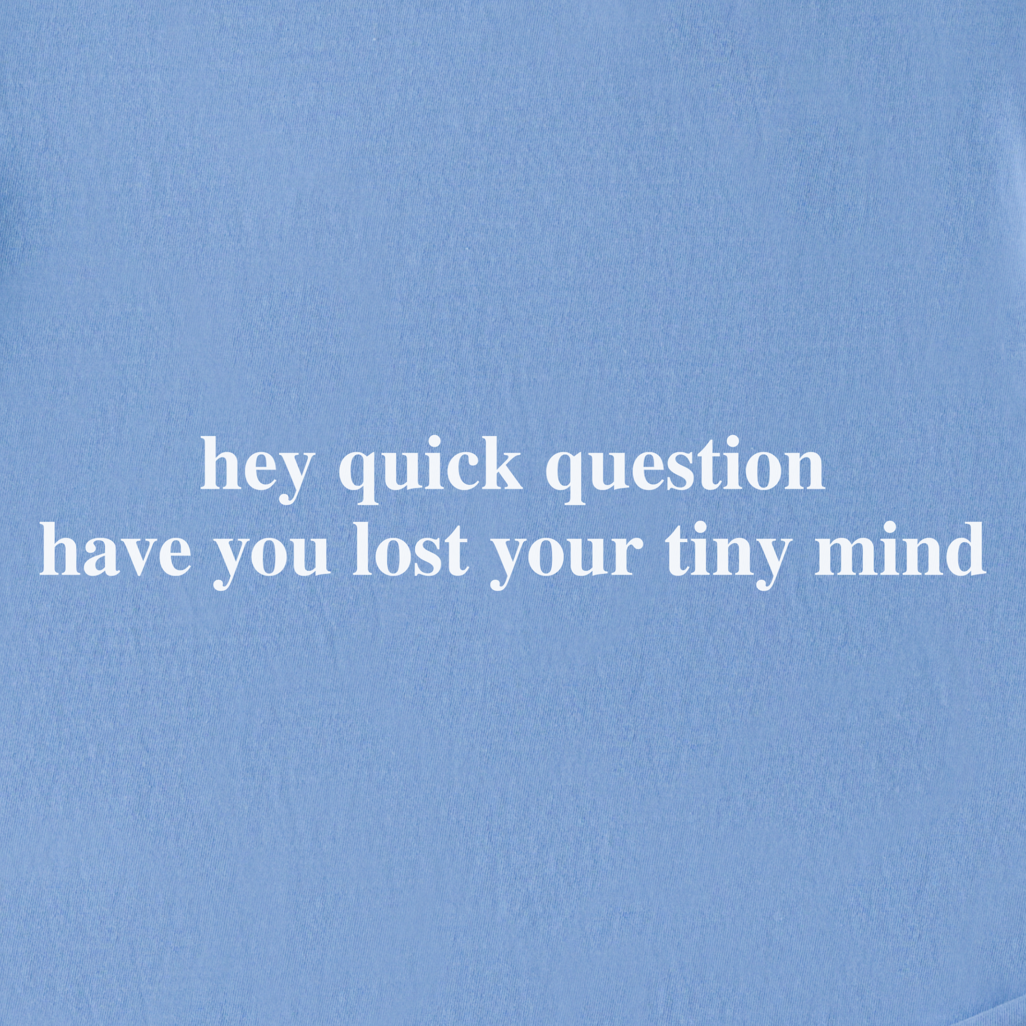 Modern Hey quick question TINY MIND Pet Text Comfort Colors T-Shirt in Washed Denim