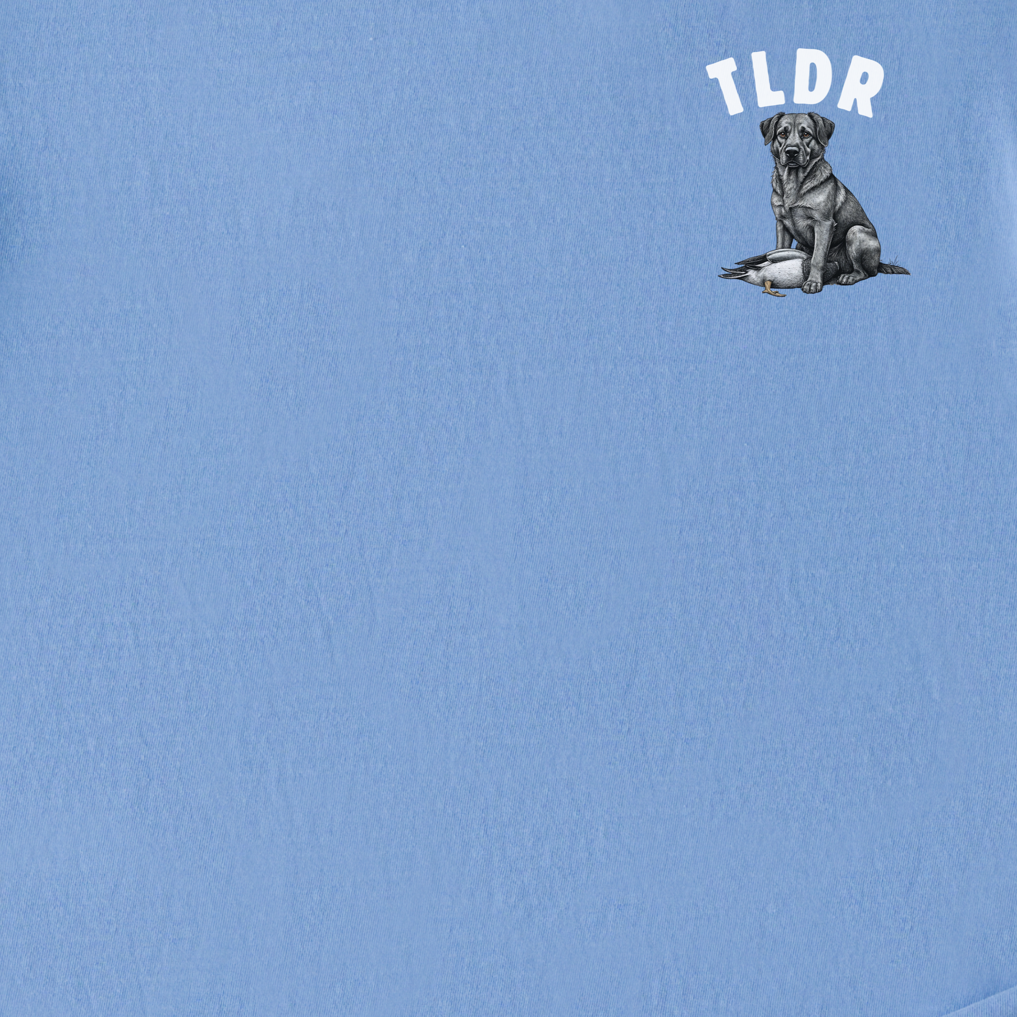 Line Art Too Long Didnt Read TLDR Dog Plus Duck Dog Graphic Comfort Colors T-Shirt in Washed Denim-T-Shirt-Fetch N Found
