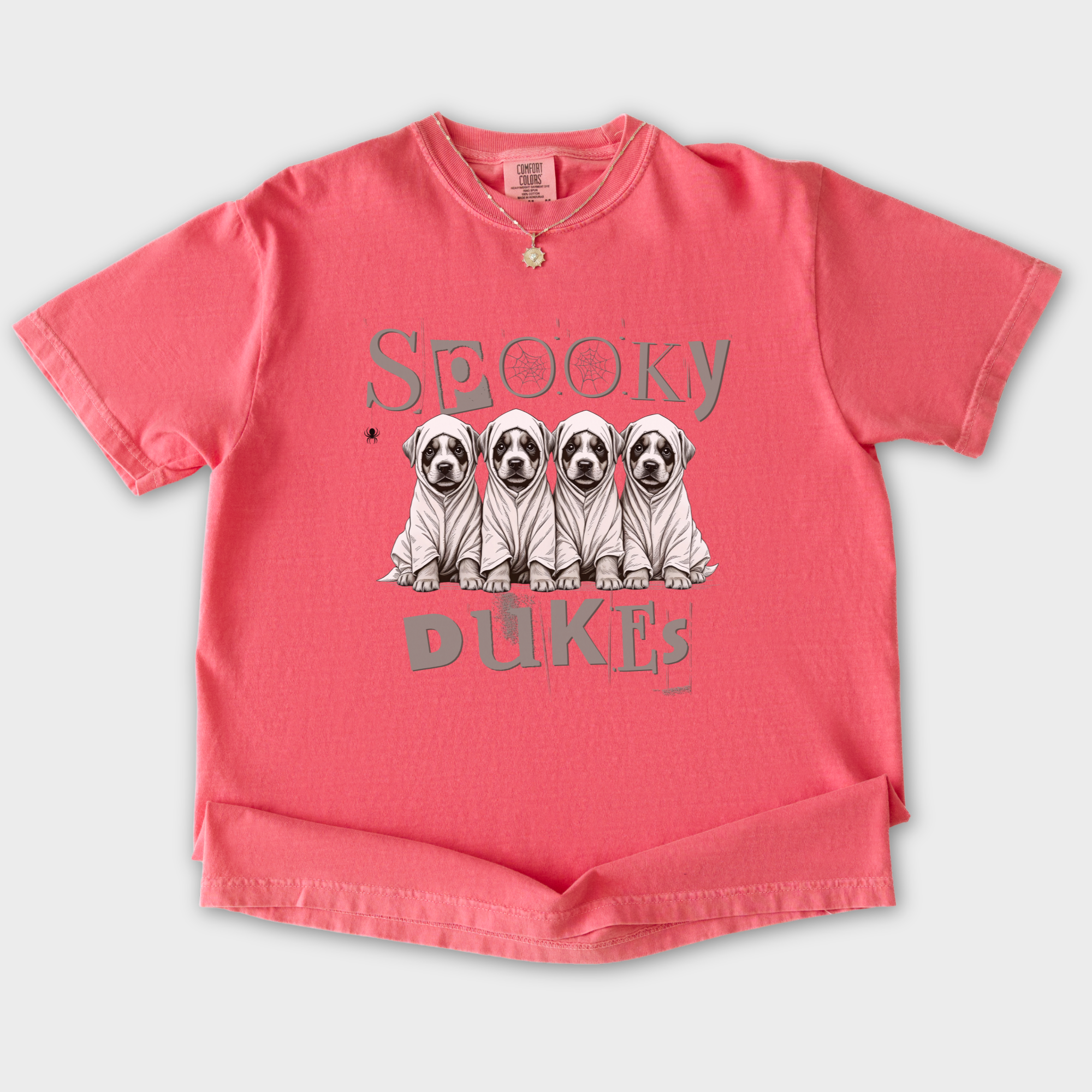Vintage Spooky Dukes Trick-or-Treaters Dog Graphic Comfort Colors T-Shirt in Watermelon-T-Shirt-Watermelon-S-Fetch N Found