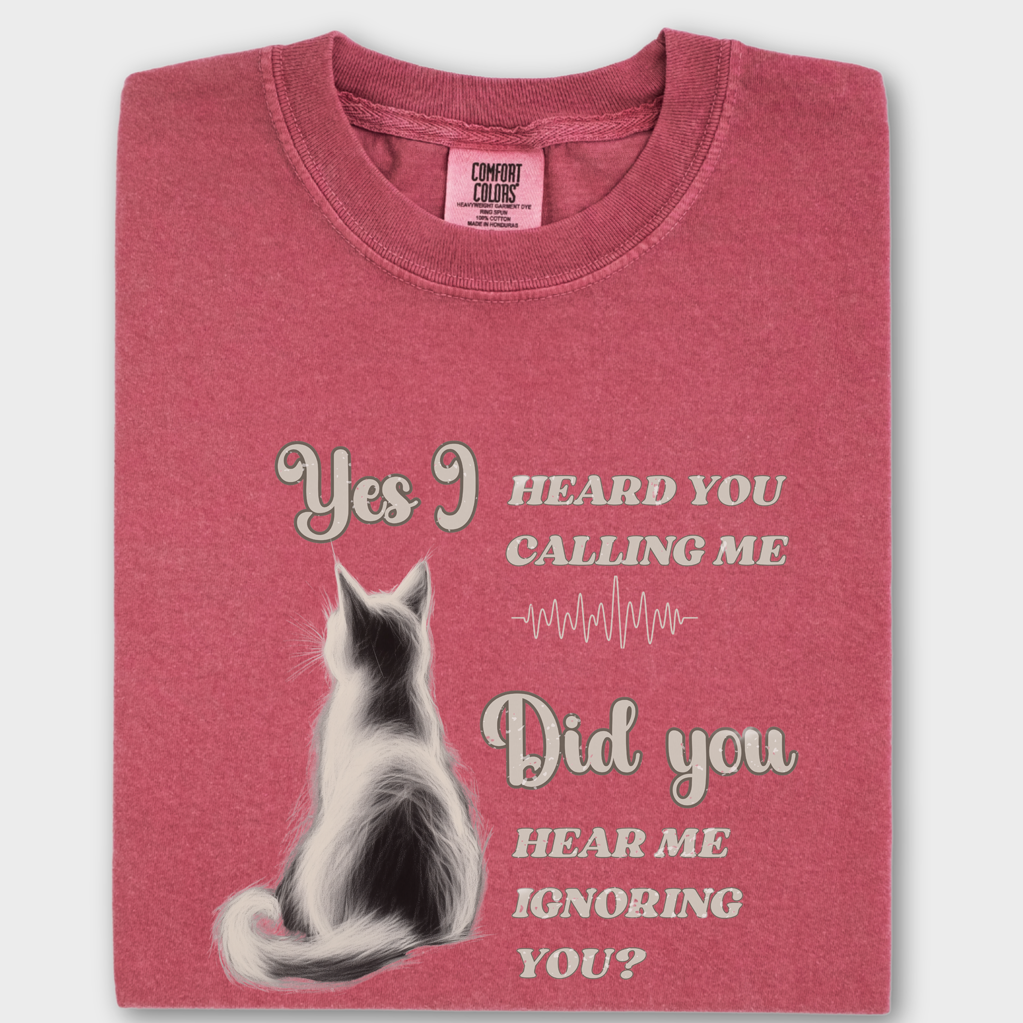 Vintage Yes I Heard You Cat Graphic Comfort Colors T-Shirt in Crimson-Fetch N Found