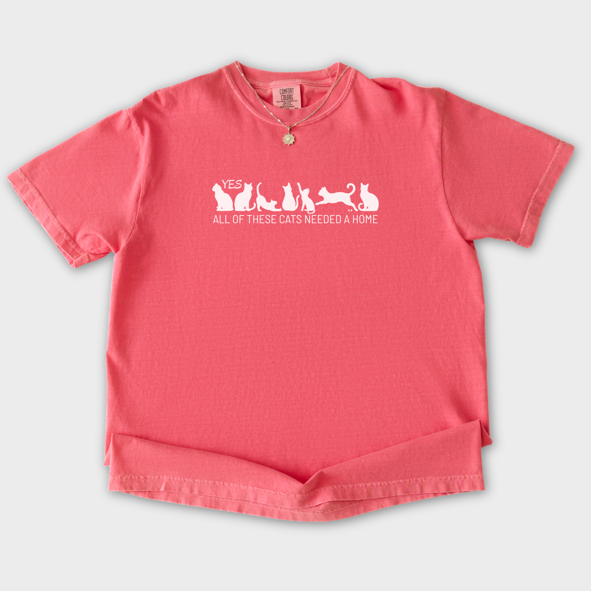fetch-n-found  unisex tee for men and women featuring , Yes all of these cats needed a home Watermelon graphic T-Shirt made of 100% cotton - Watermelon Flat Lay Front