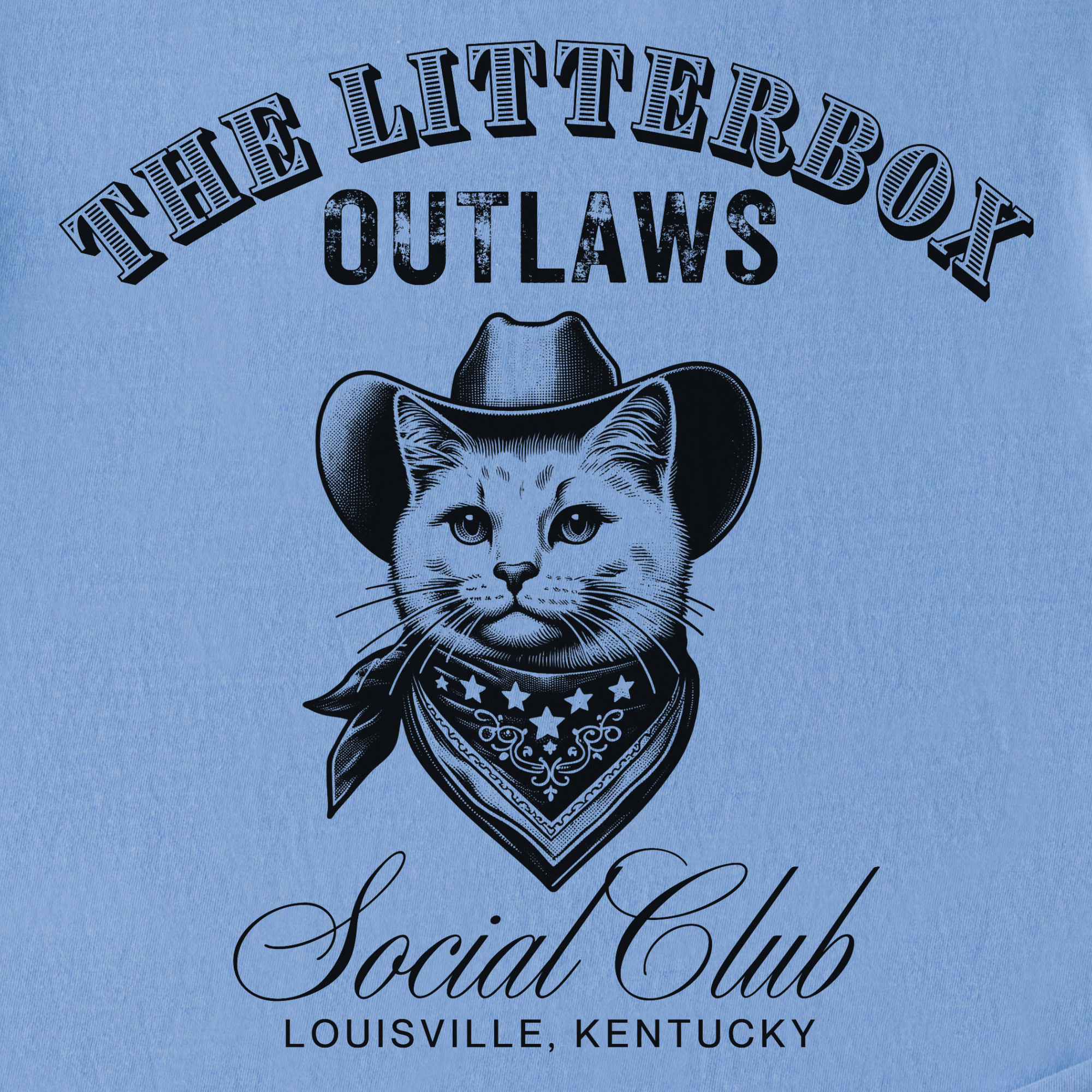 retro-cat-cowboy-litterbox-t-shirt-in-washed-denim - Washed Denim Full Graphic
