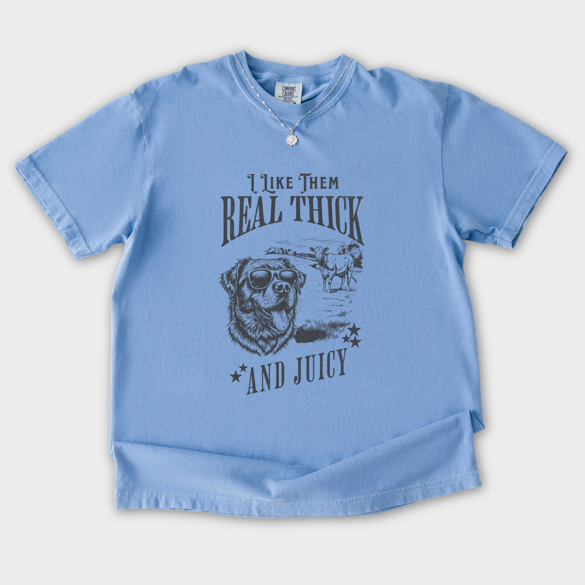 real-thick-and-juicy-t-shirt-in-washed-denim - Washed Denim Flat Lay Front