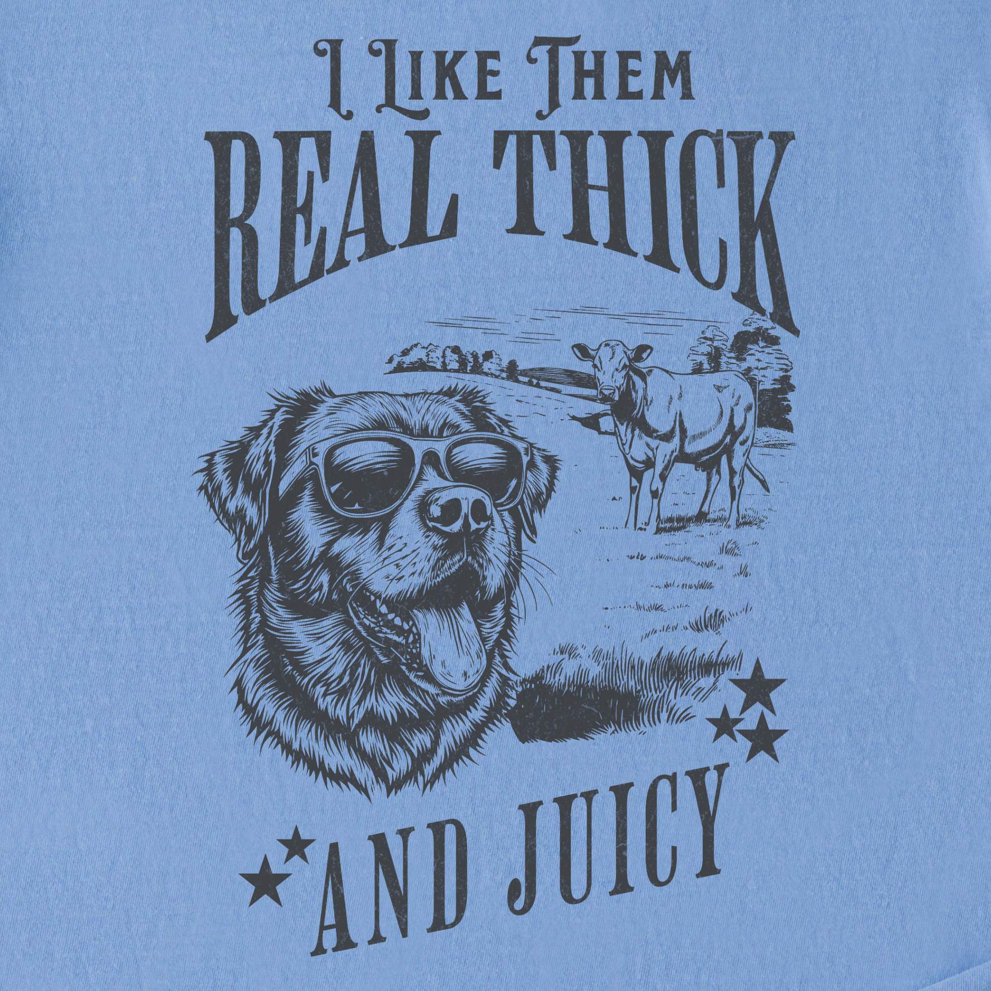 real-thick-and-juicy-t-shirt-in-washed-denim - Washed Denim Full Graphic