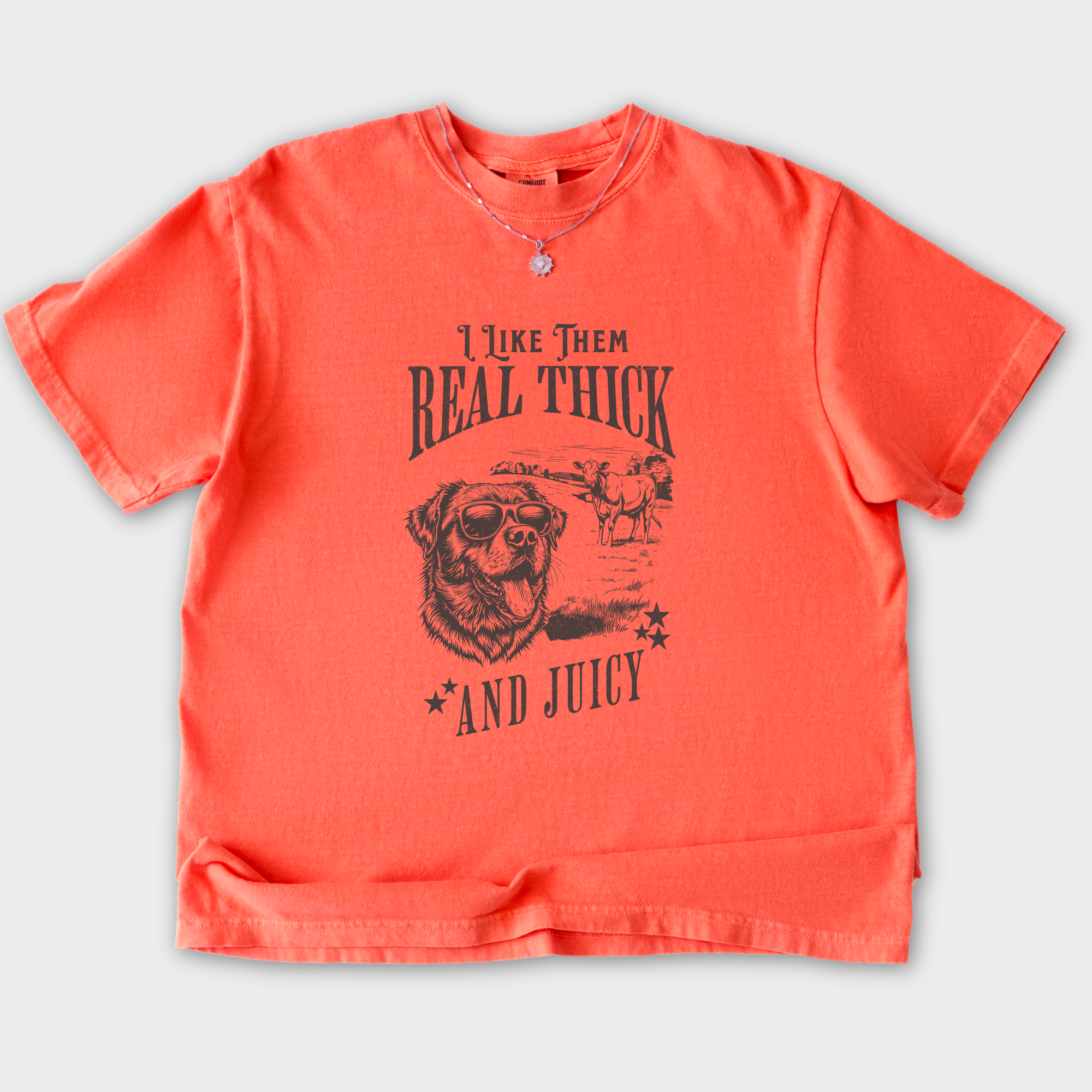 real-thick-and-juicy-t-shirt-in-bright-salmon - Bright Salmon Flat Lay Front