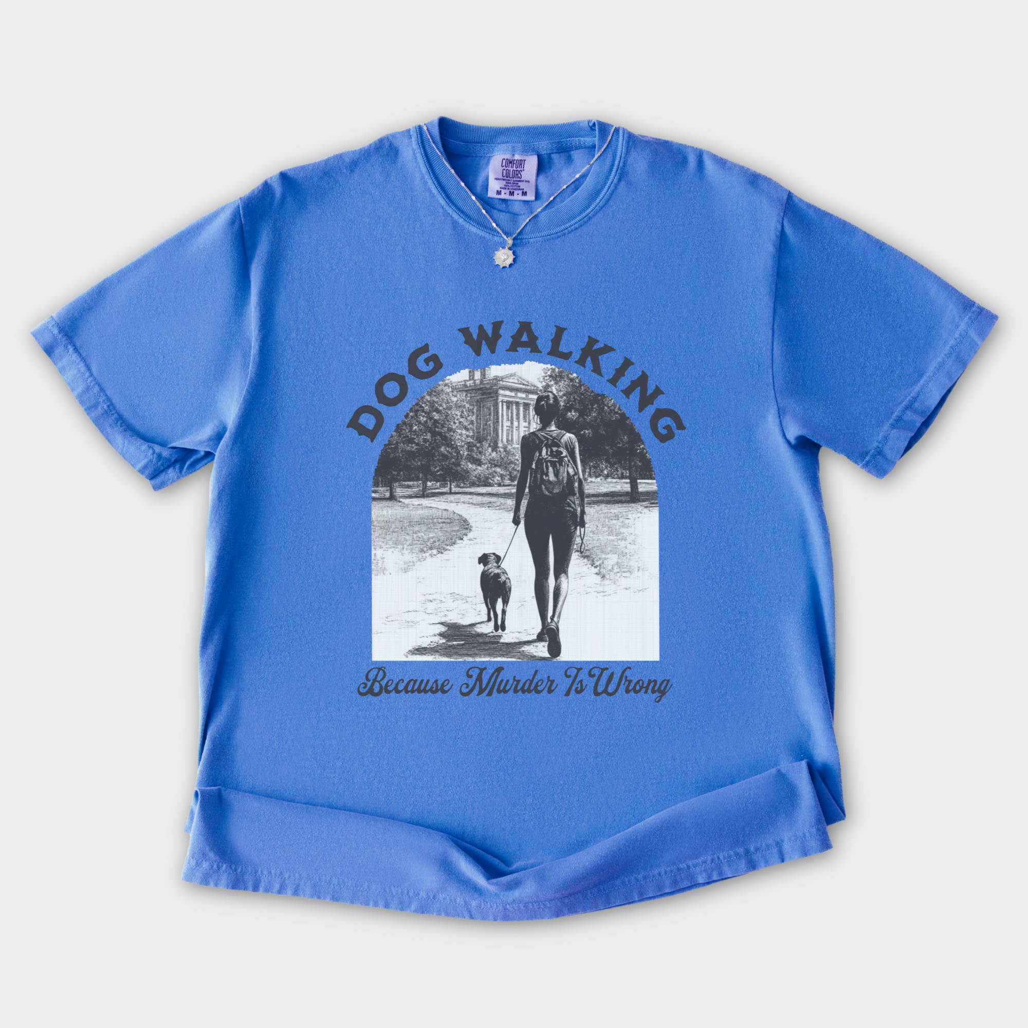 western-murder-is-wrong-dog-graphic-comfort-colors-t-shirt-in-flo-blue - Flo Blue Flat Lay Front