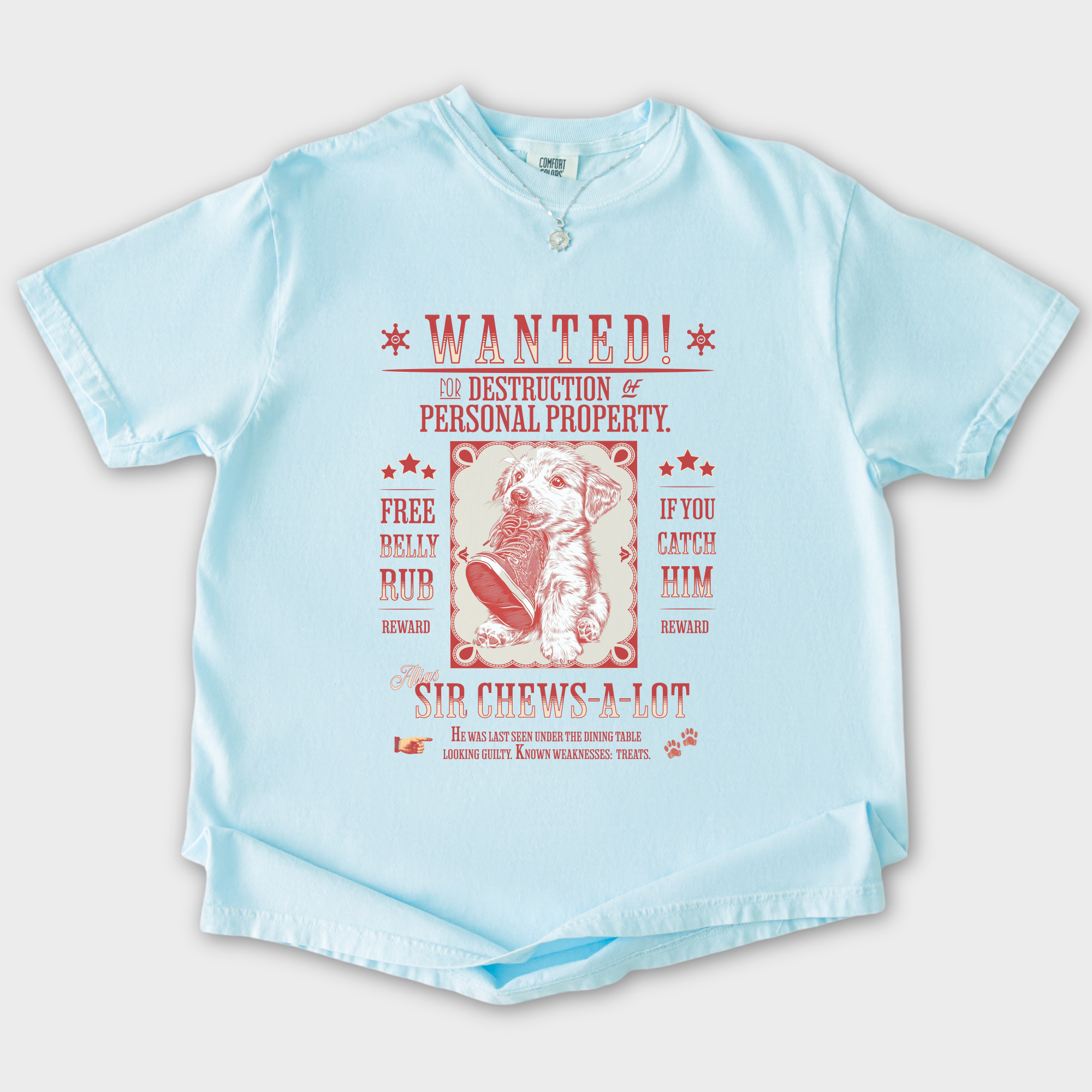 retro-western-wanted-puppy-t-shirt-1-in-chambray - Chambray Flat Lay Front