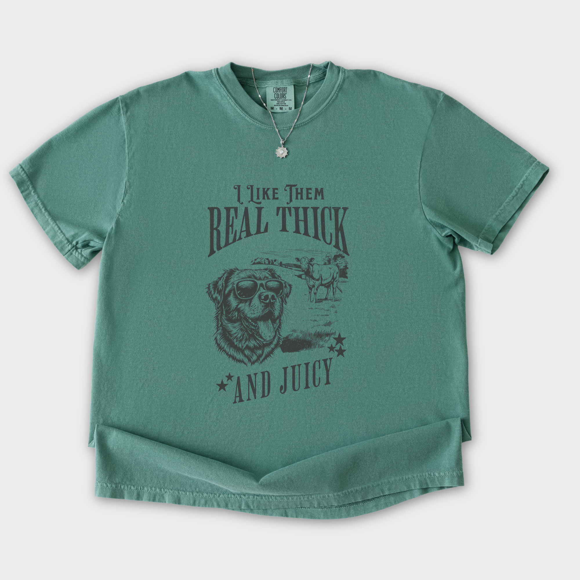 real-thick-and-juicy-t-shirt-in-light-green - Light Green Flat Lay Front