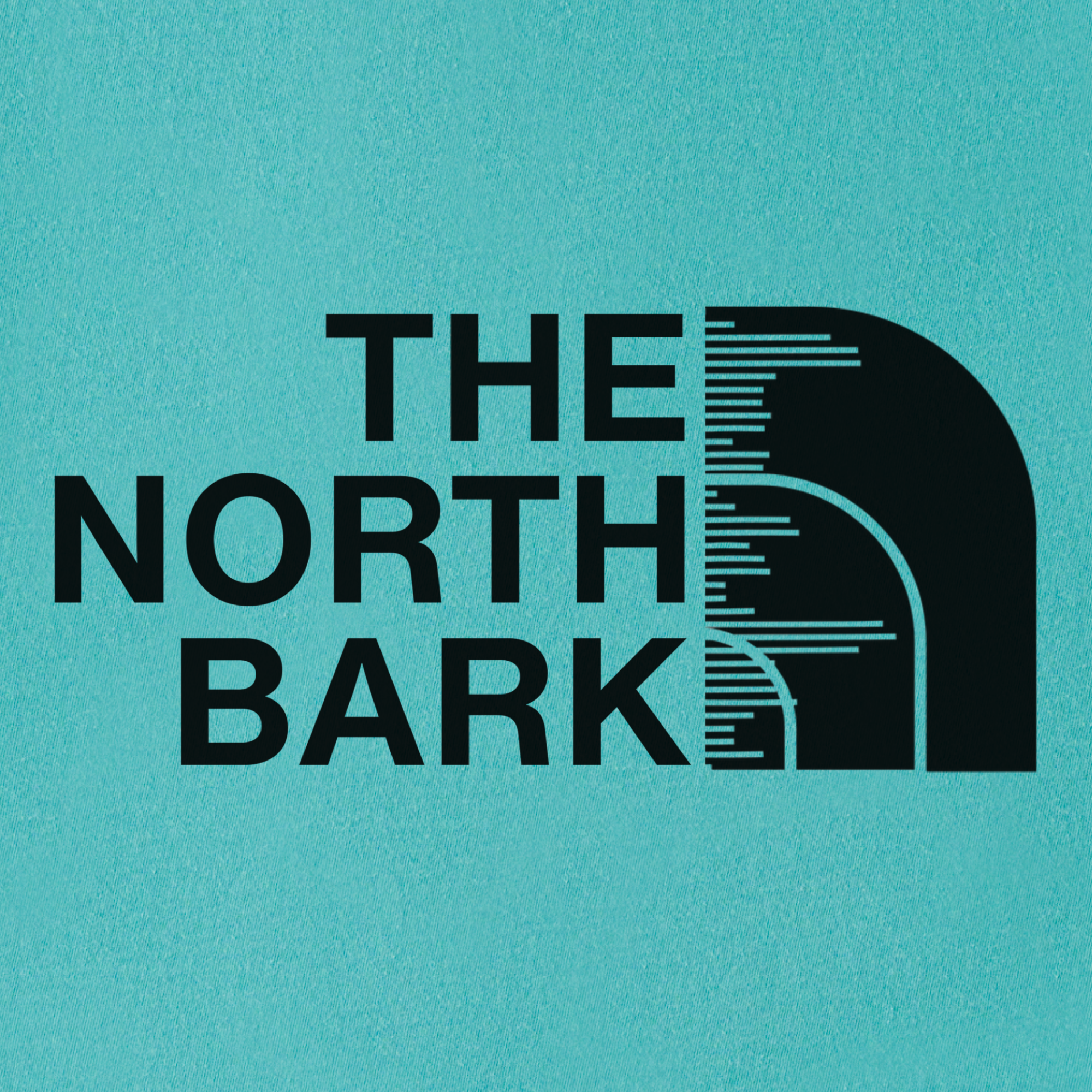 artistic-the-north-bark-dog-graphic-comfort-colors-t-shirt-in-seafoam - Seafoam Full Graphic
