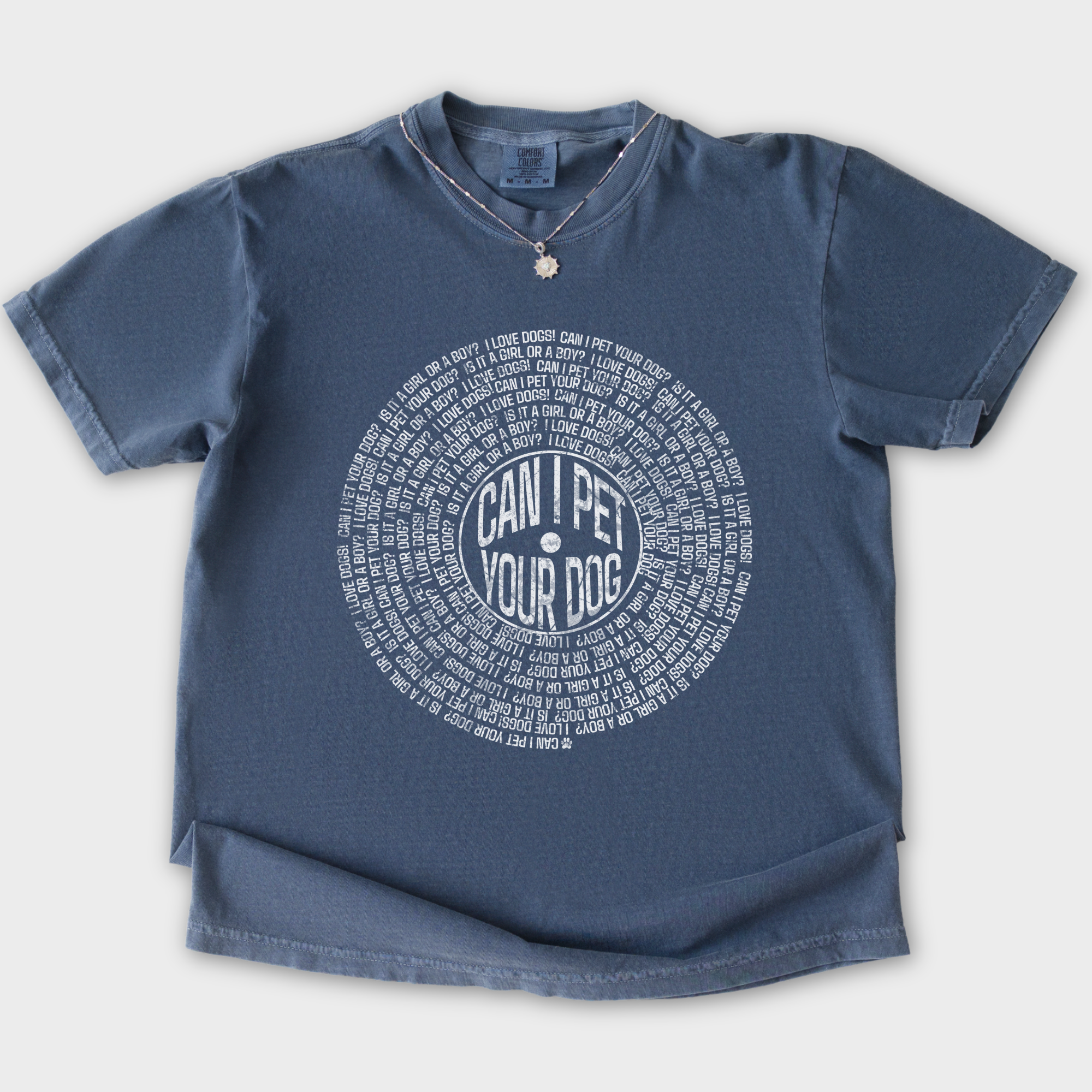 vintage-can-i-pet-your-dog-analog-record-song-dog-graphic-comfort-colors-t-shirt-in-denim - Denim Flat Lay Front