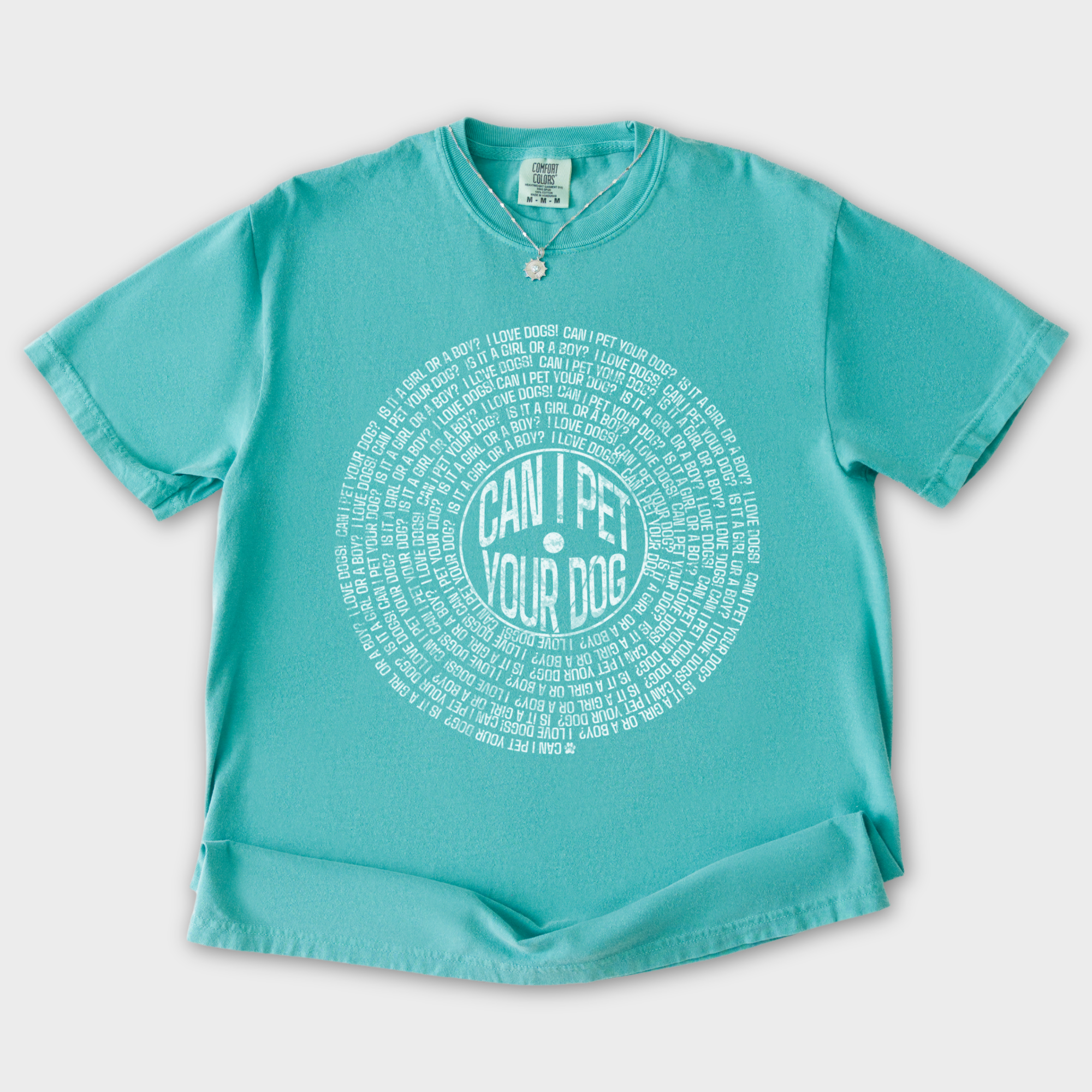 vintage-can-i-pet-your-dog-analog-record-song-dog-graphic-comfort-colors-t-shirt-in-seafoam - Seafoam Flat Lay Front