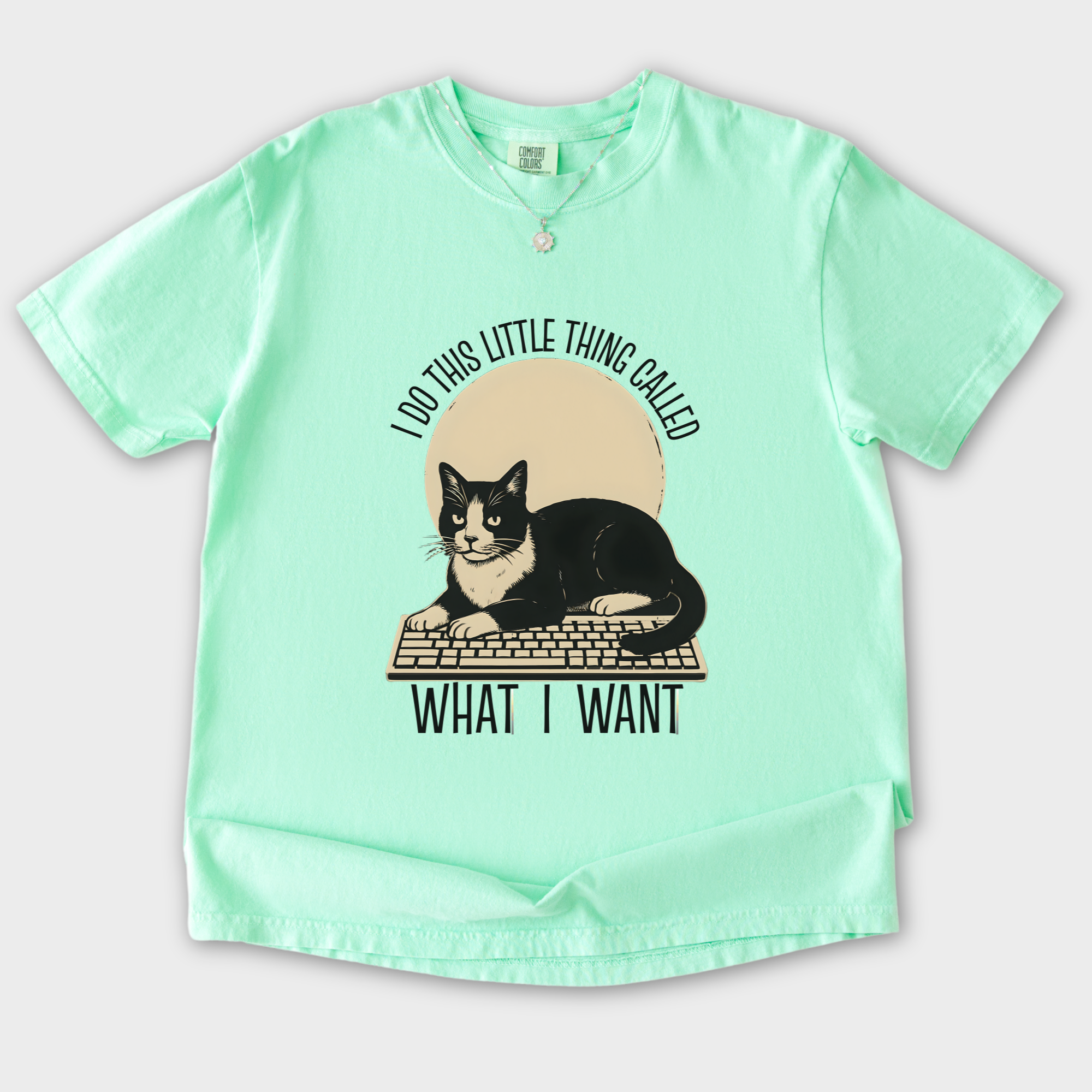 retro-i-do-this-little-thing-called-what-i-want-cat-minimalist-comfort-colors-t-shirt-in-island-reef - Island Reef Flat Lay Front