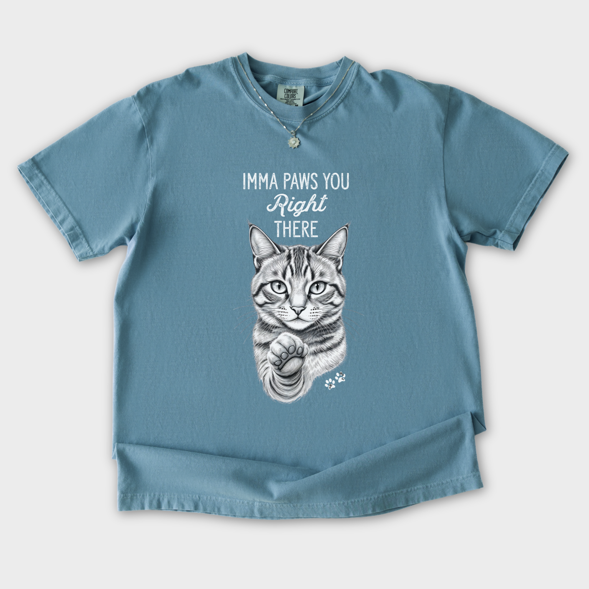 vintage-imma-paws-you-right-there-cat-line-art-comfort-colors-t-shirt-in-ice-blue - Ice Blue Flat Lay Front