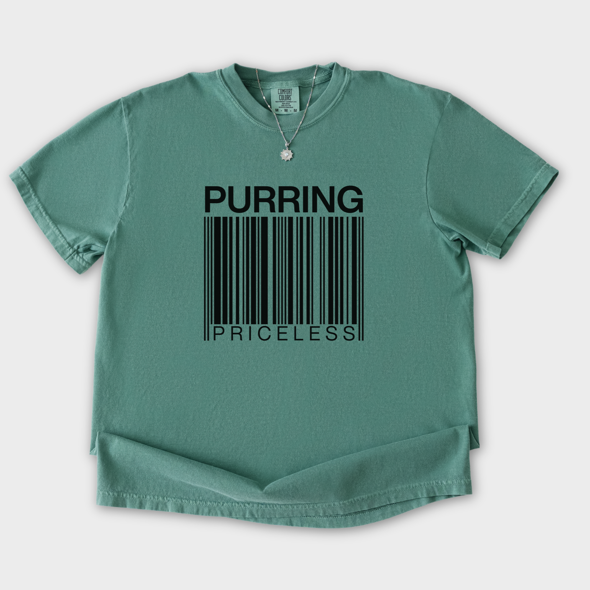 modern-purring-is-priceless-barcode-cat-graphic-comfort-colors-t-shirt-in-light-green - Light Green Flat Lay Front