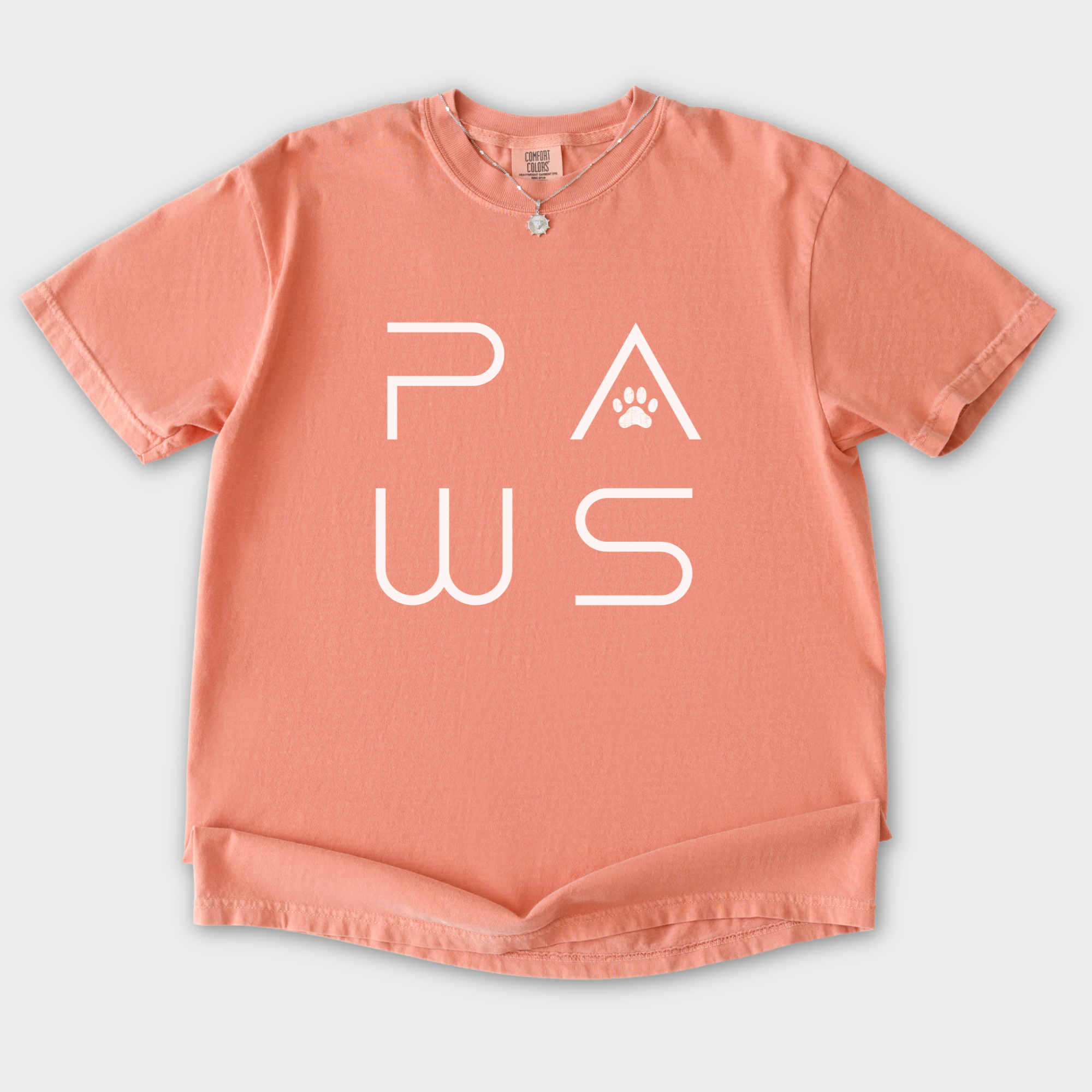 minimalist-paws-modern-text-design-pet-text-comfort-colors-t-shirt-in-terracotta - Terracotta Flat Lay Front