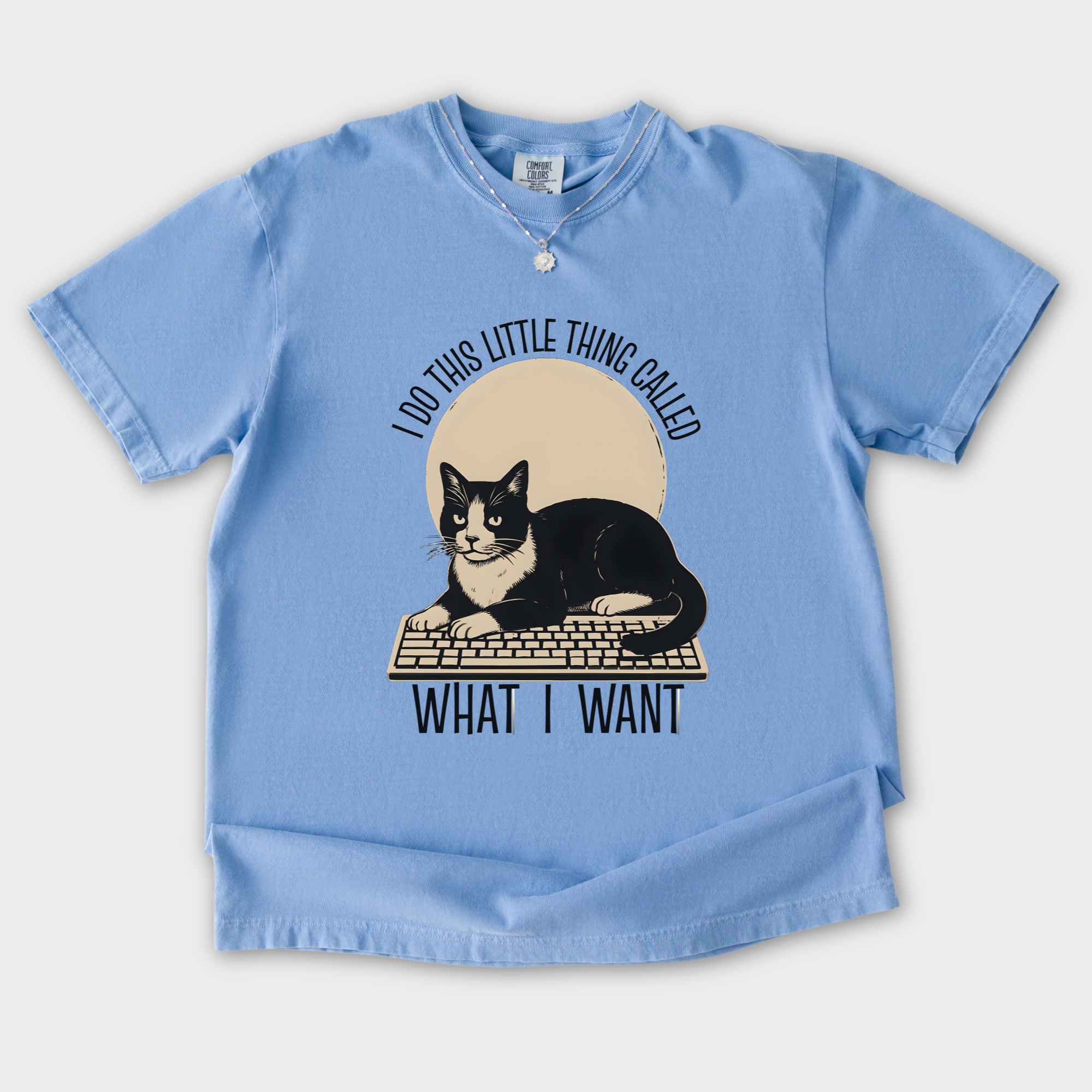 retro-i-do-this-little-thing-called-what-i-want-cat-minimalist-comfort-colors-t-shirt-in-washed-denim - Washed Denim Flat Lay Front