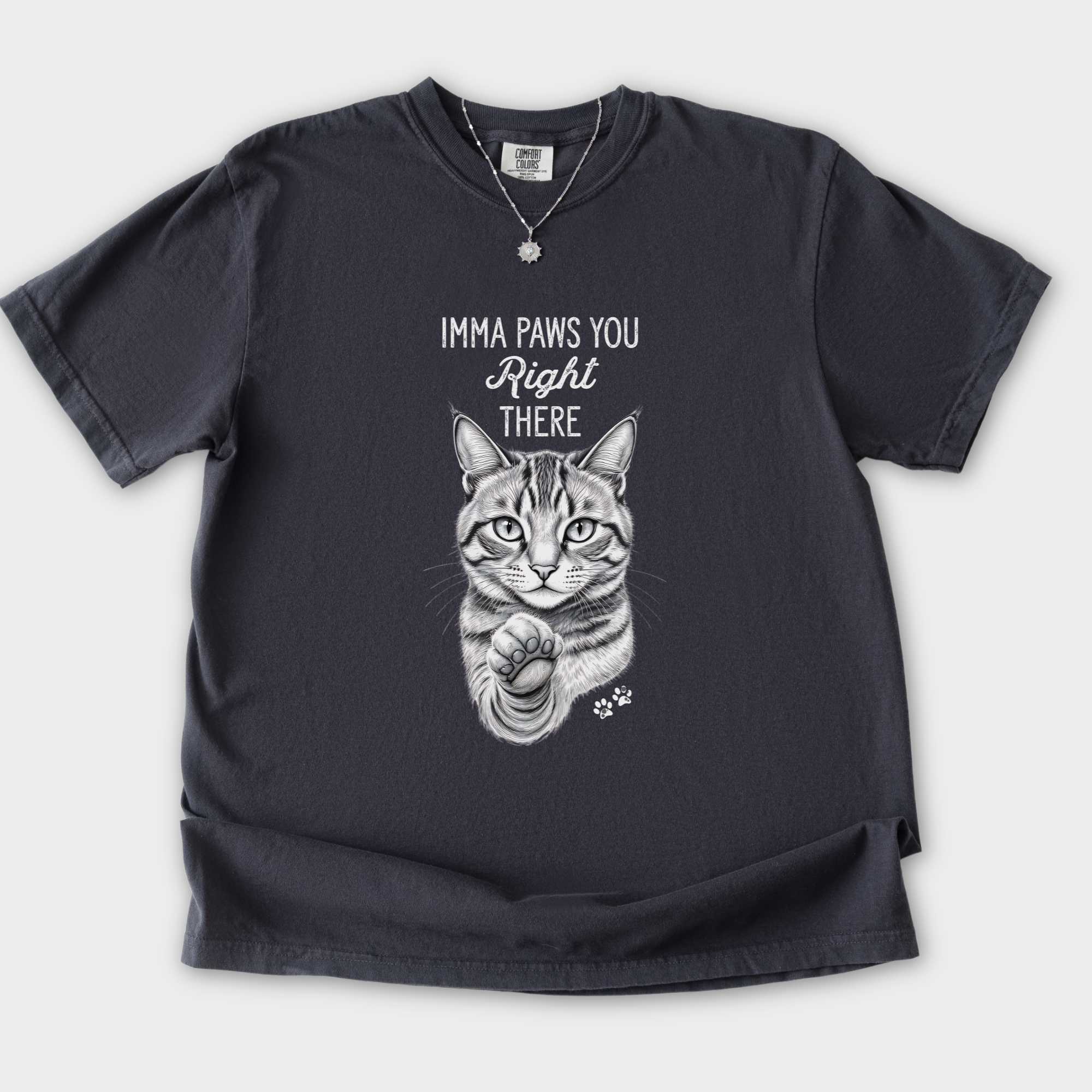 vintage-imma-paws-you-right-there-cat-line-art-comfort-colors-t-shirt-in-graphite - Graphite Flat Lay Front