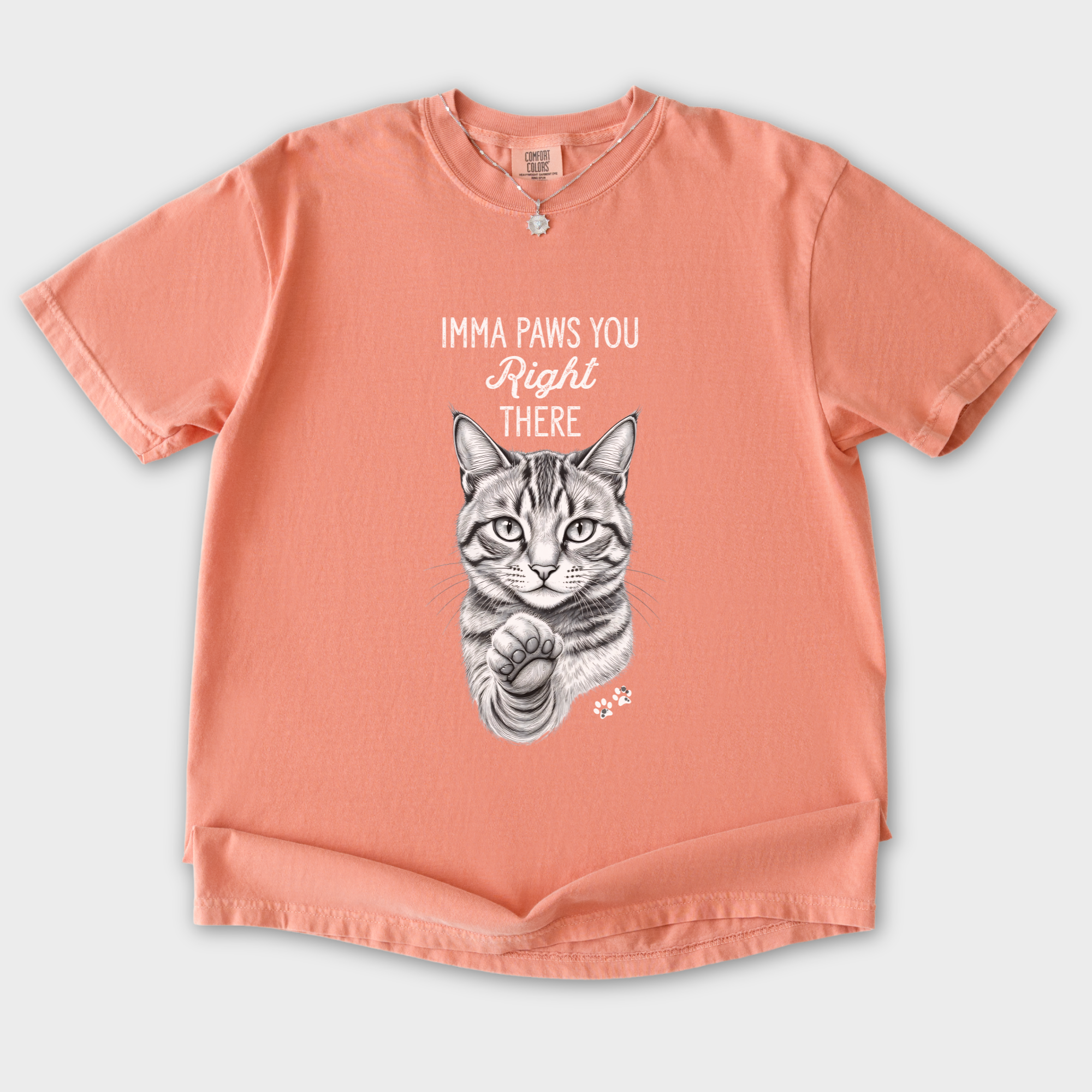 vintage-imma-paws-you-right-there-cat-line-art-comfort-colors-t-shirt-in-terracotta - Terracotta Flat Lay Front