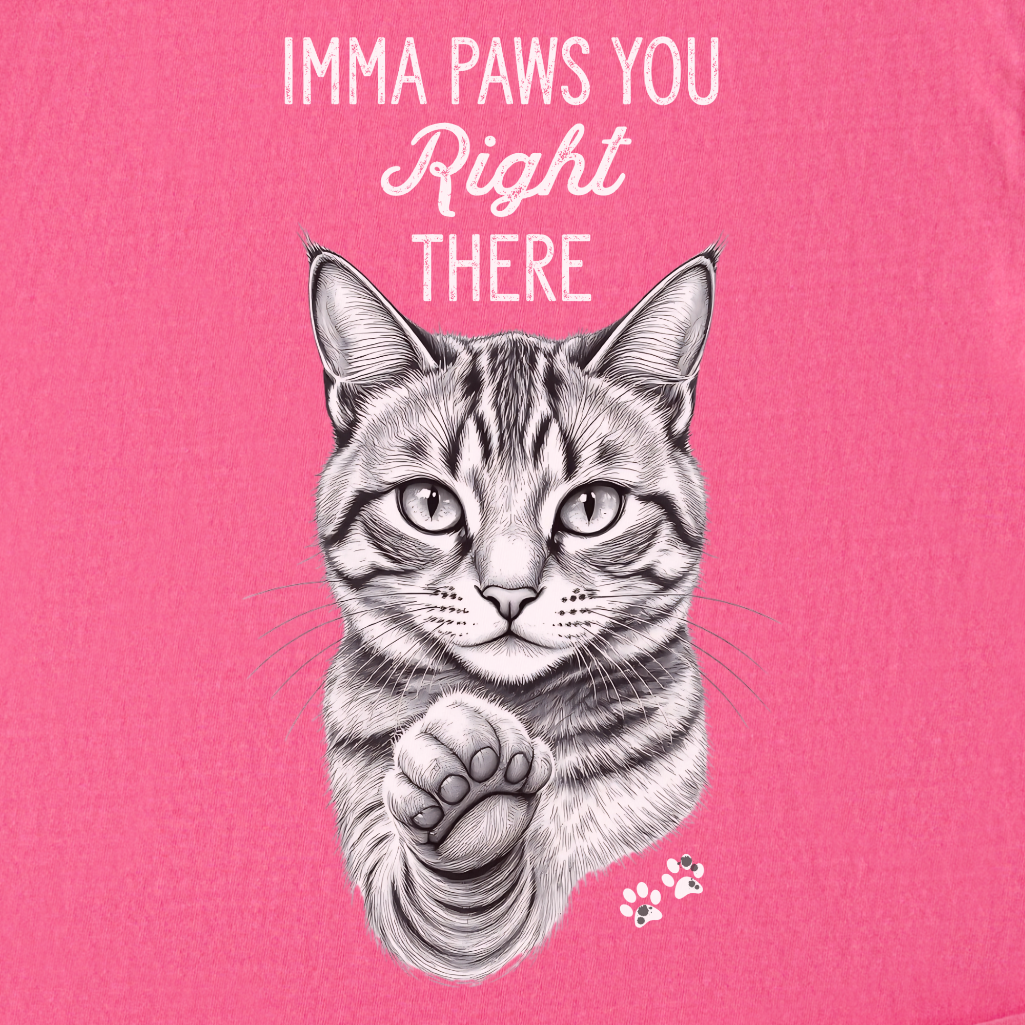 vintage-imma-paws-you-right-there-cat-line-art-comfort-colors-t-shirt-in-crunchberry - Crunchberry Full Graphic