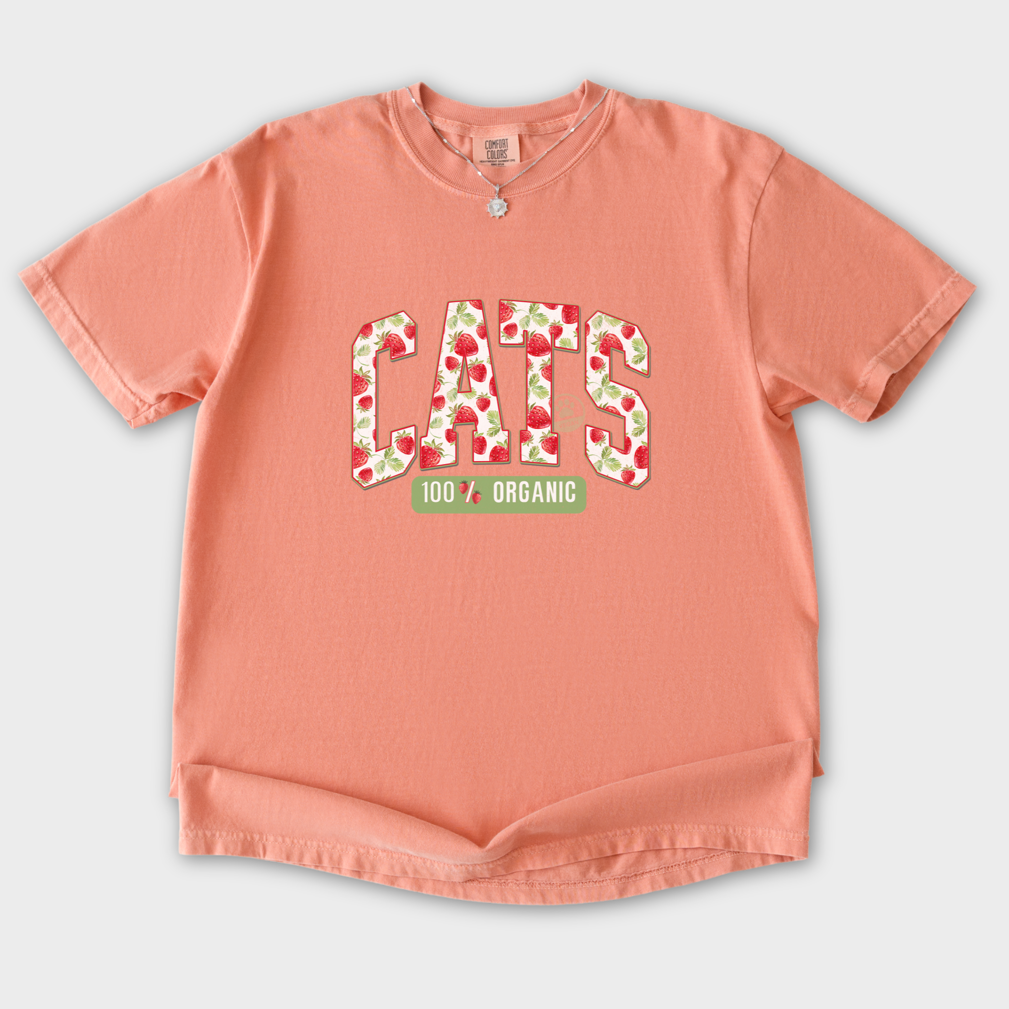 floral-vintage-strawberry-market-cats-organic-cat-text-comfort-colors-t-shirt-in-terracotta - Terracotta Flat Lay Front