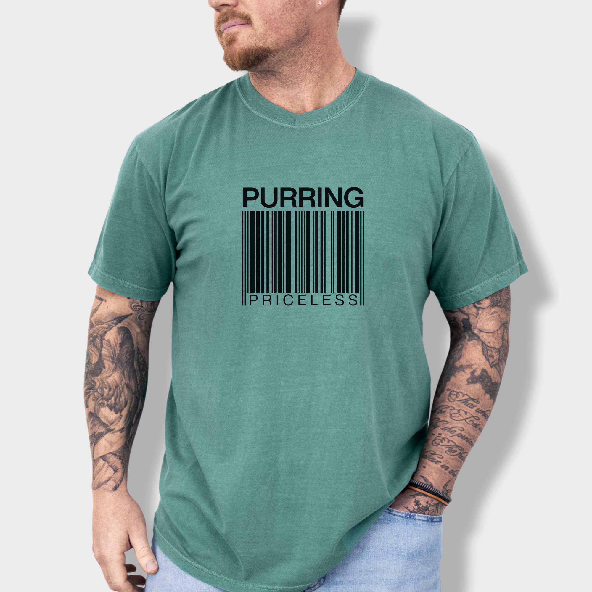 modern-purring-is-priceless-barcode-cat-graphic-comfort-colors-t-shirt-in-light-green - Light Green Lifestyle Male Model
