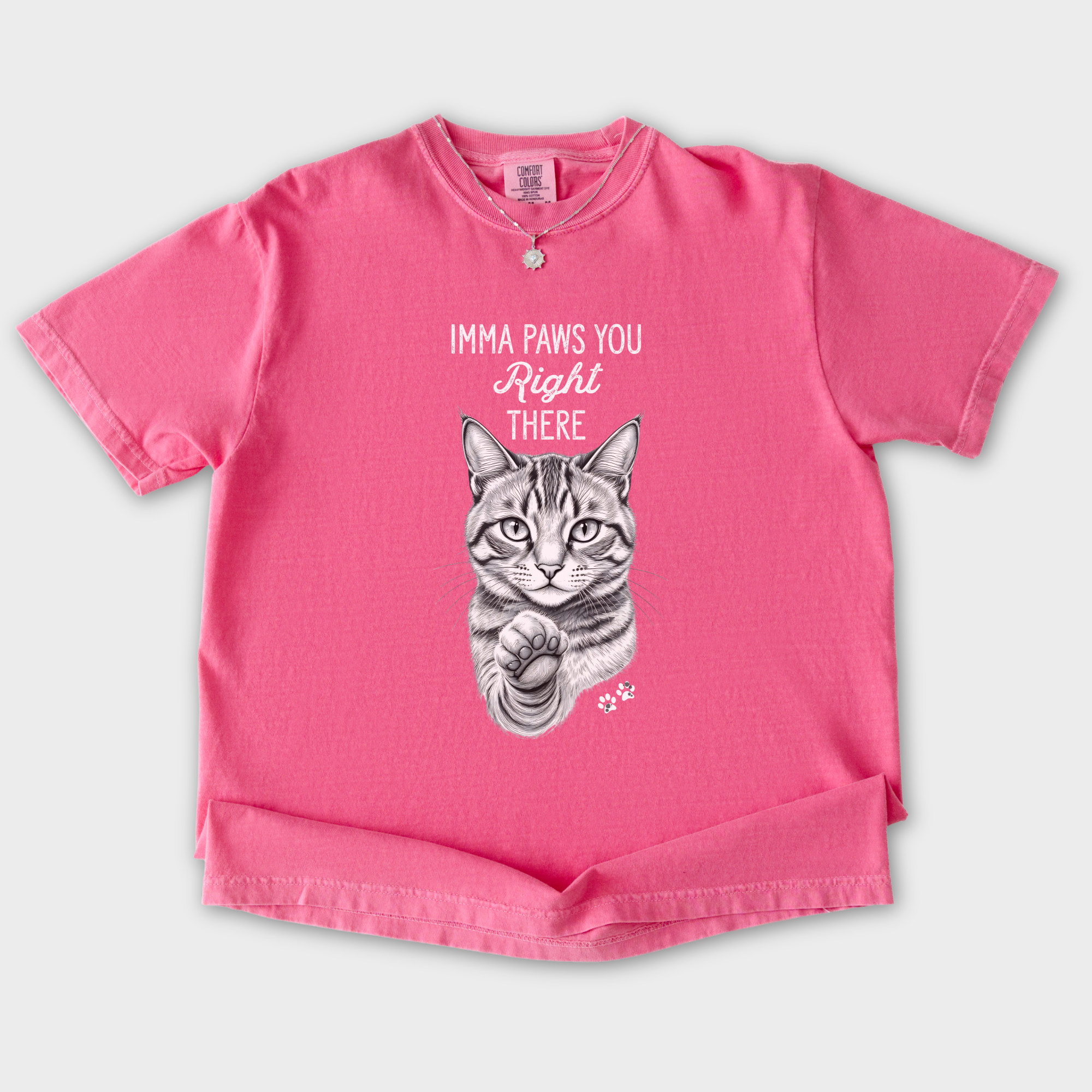 vintage-imma-paws-you-right-there-cat-line-art-comfort-colors-t-shirt-in-crunchberry - Crunchberry Flat Lay Front
