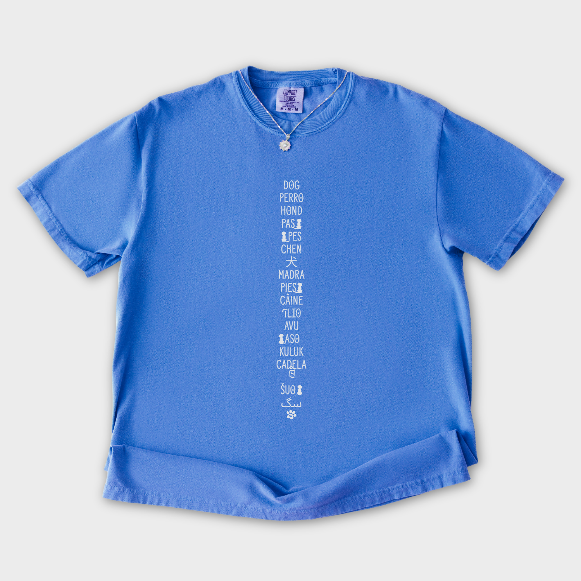 DOG In Many Languages Graphic Comfort Colors T-Shirt in Flo Blue-T-Shirt-Flo Blue-S-Fetch N Found