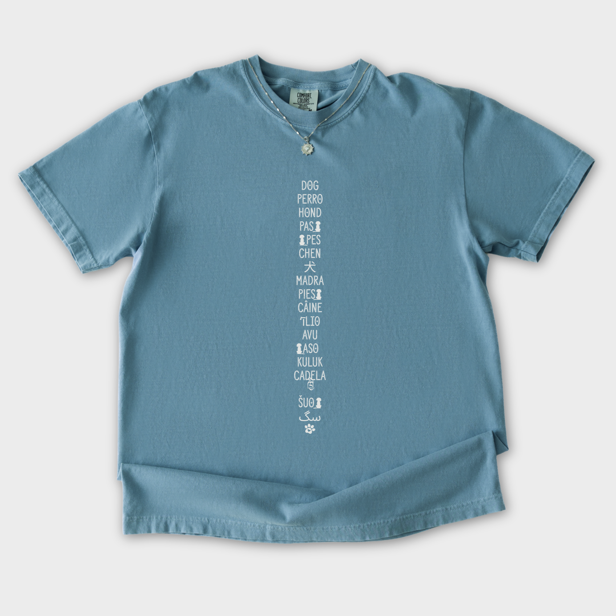 DOG In Many Languages Graphic Comfort Colors T-Shirt in Ice Blue-T-Shirt-Ice Blue-S-Fetch N Found